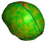 Brainsci 11 00287 i013