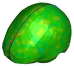 Brainsci 11 00287 i015