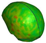 Brainsci 11 00287 i017