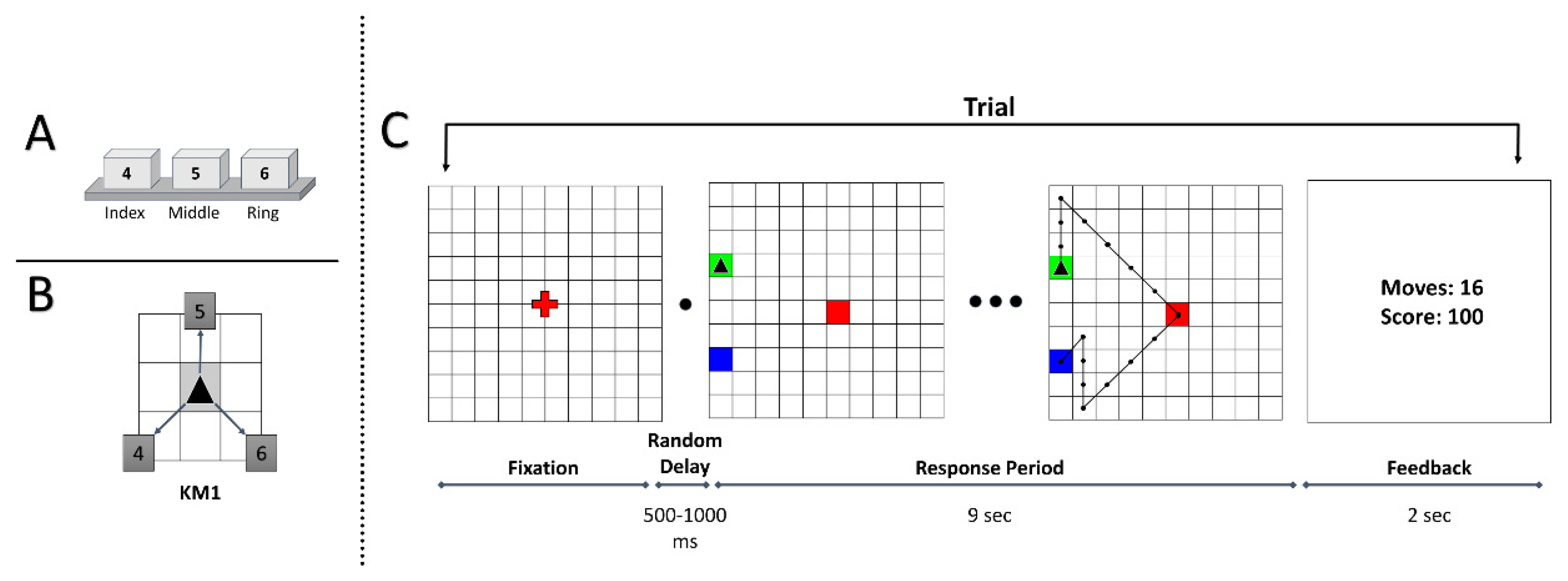 Brainsci 11 00292 g001 Brainsci 11 00292 g001