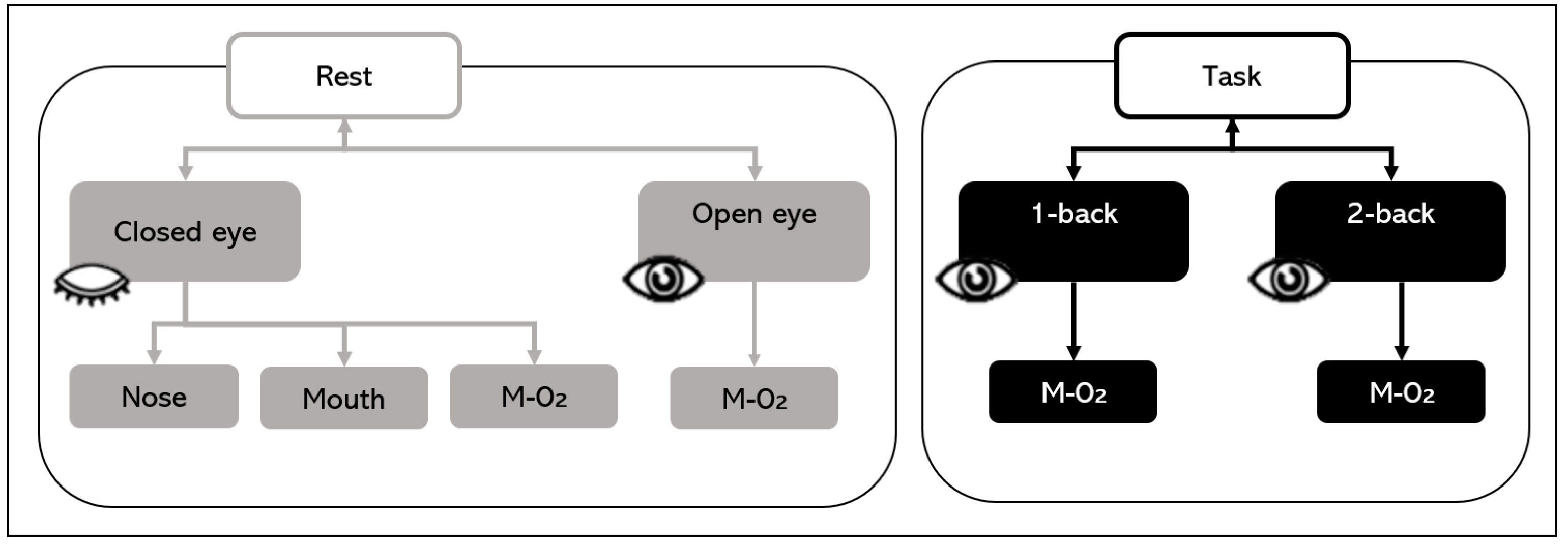 Brainsci 11 00293 g003
