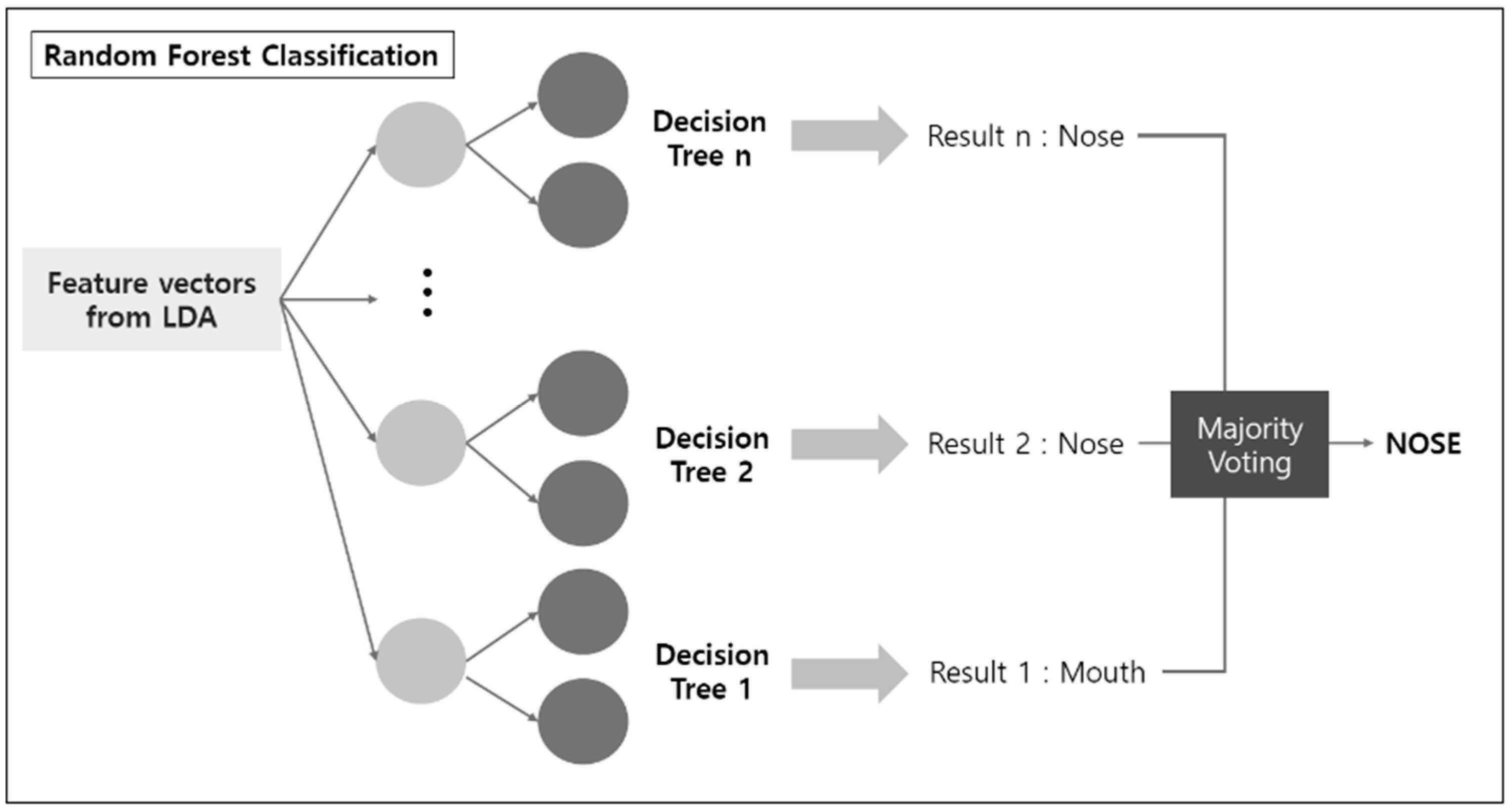 Brainsci 11 00293 g004