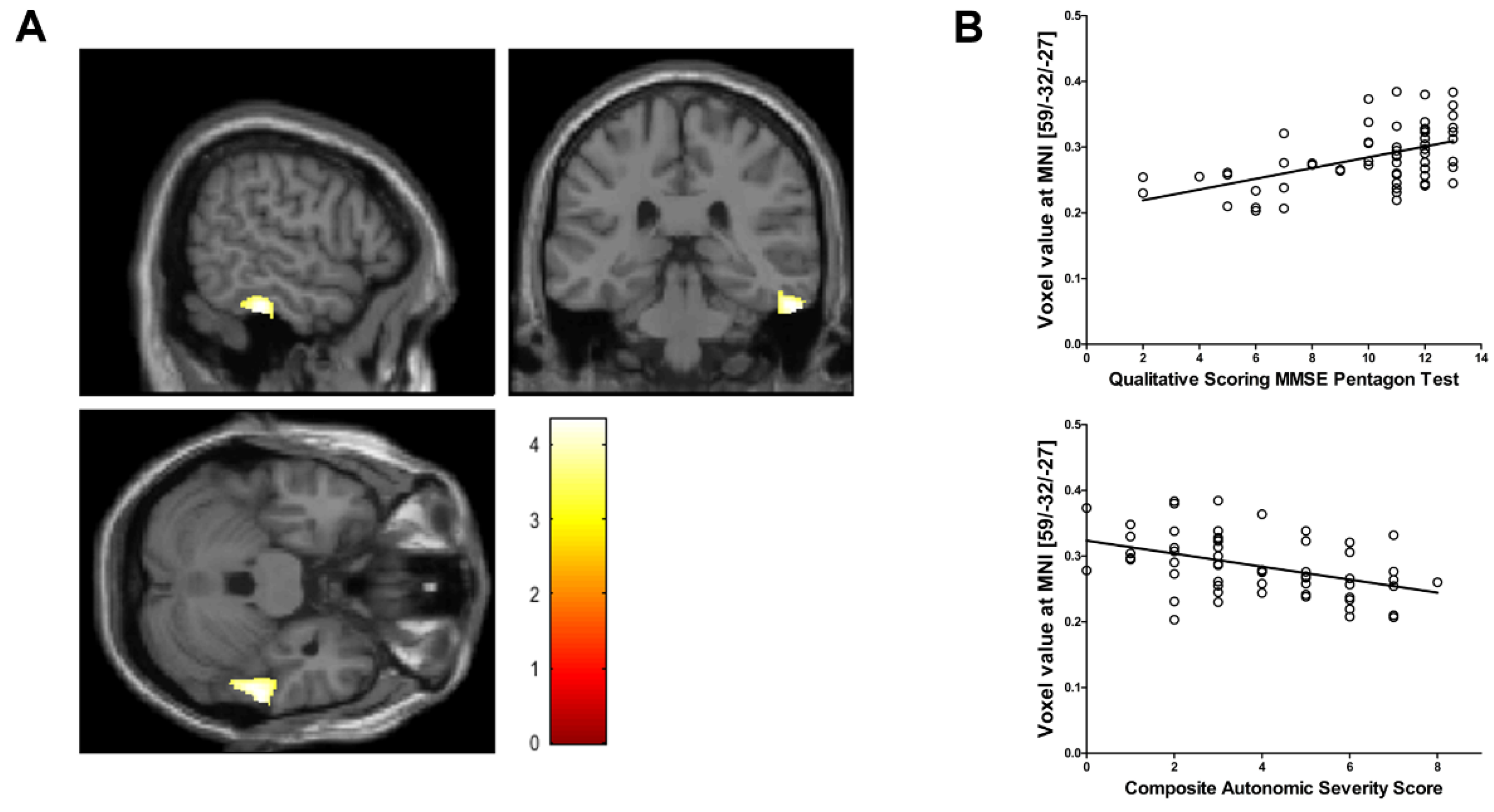 Brainsci 11 00294 g001