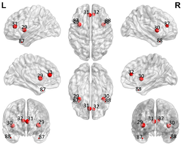 Brainsci 11 00311 i002