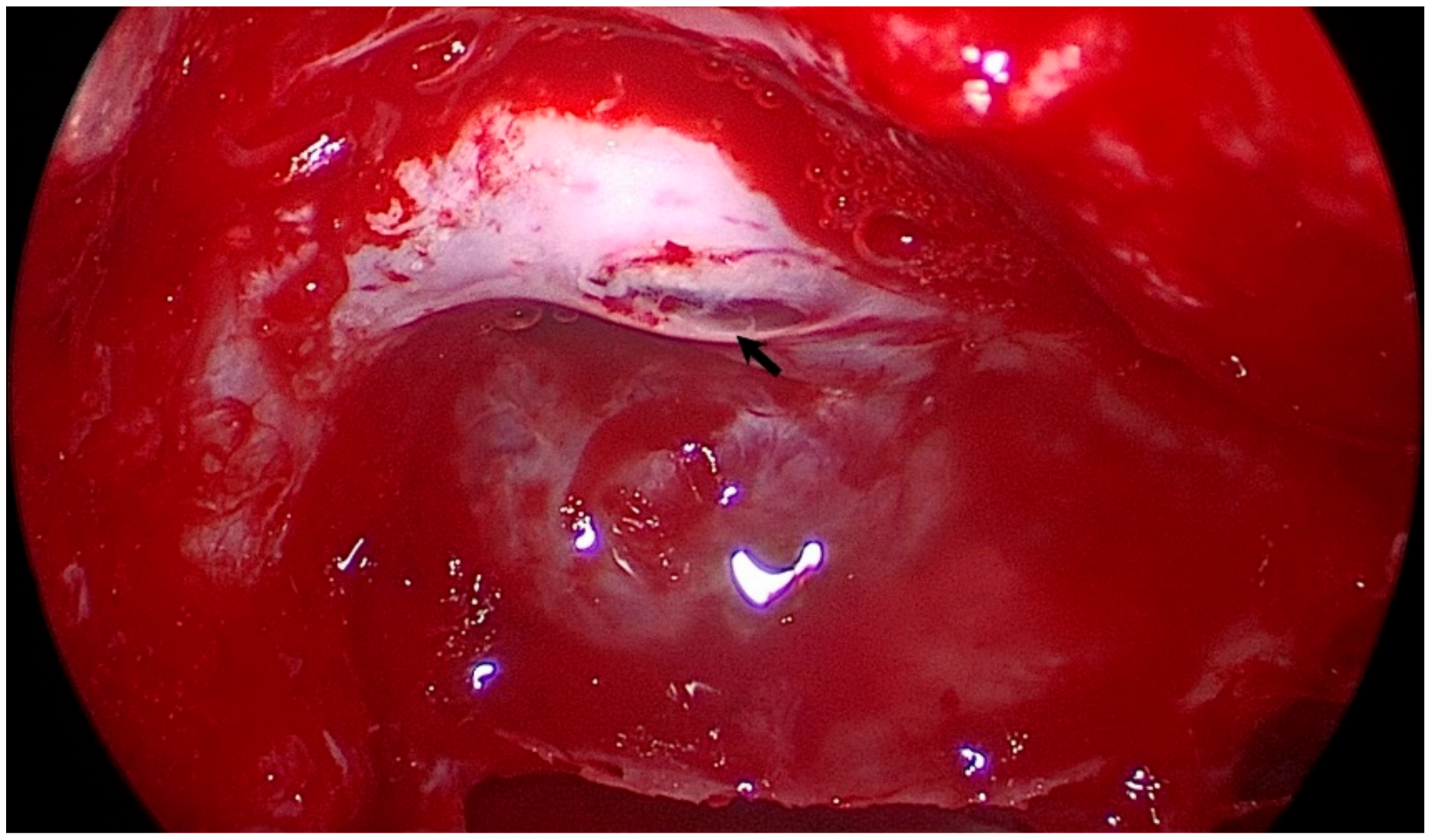 Brainsci 11 00324 g001