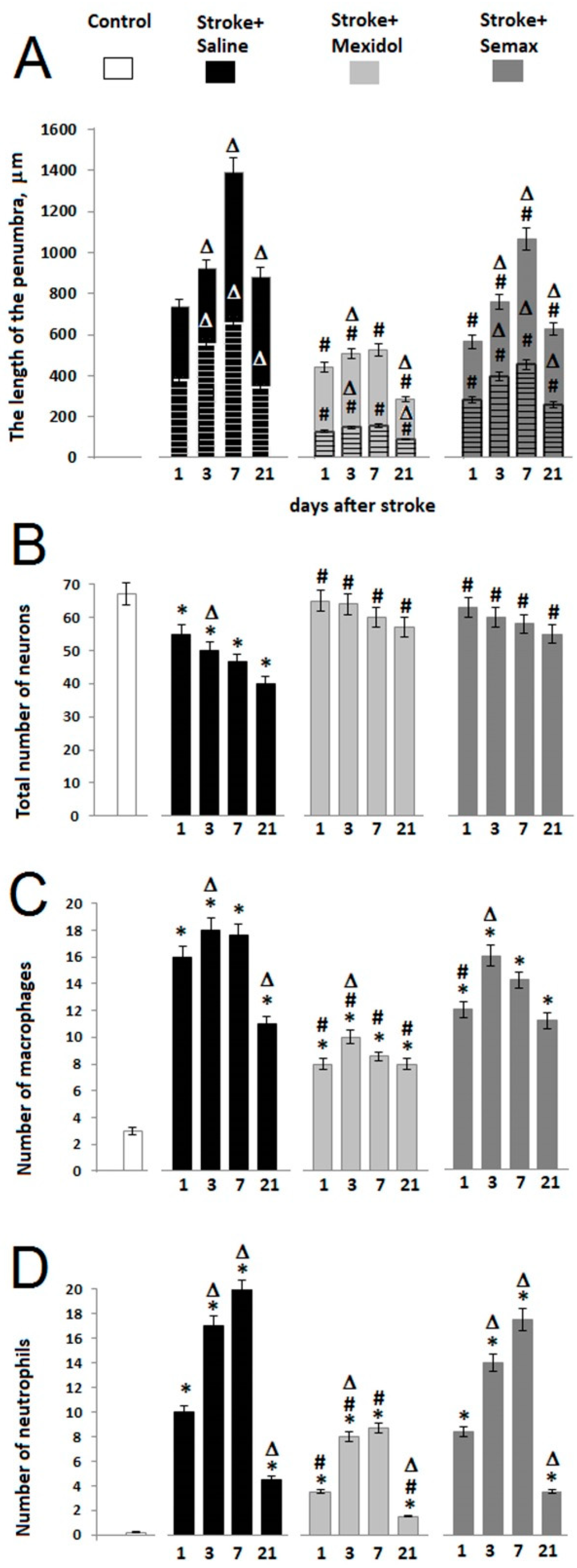 Brainsci 11 00325 g005