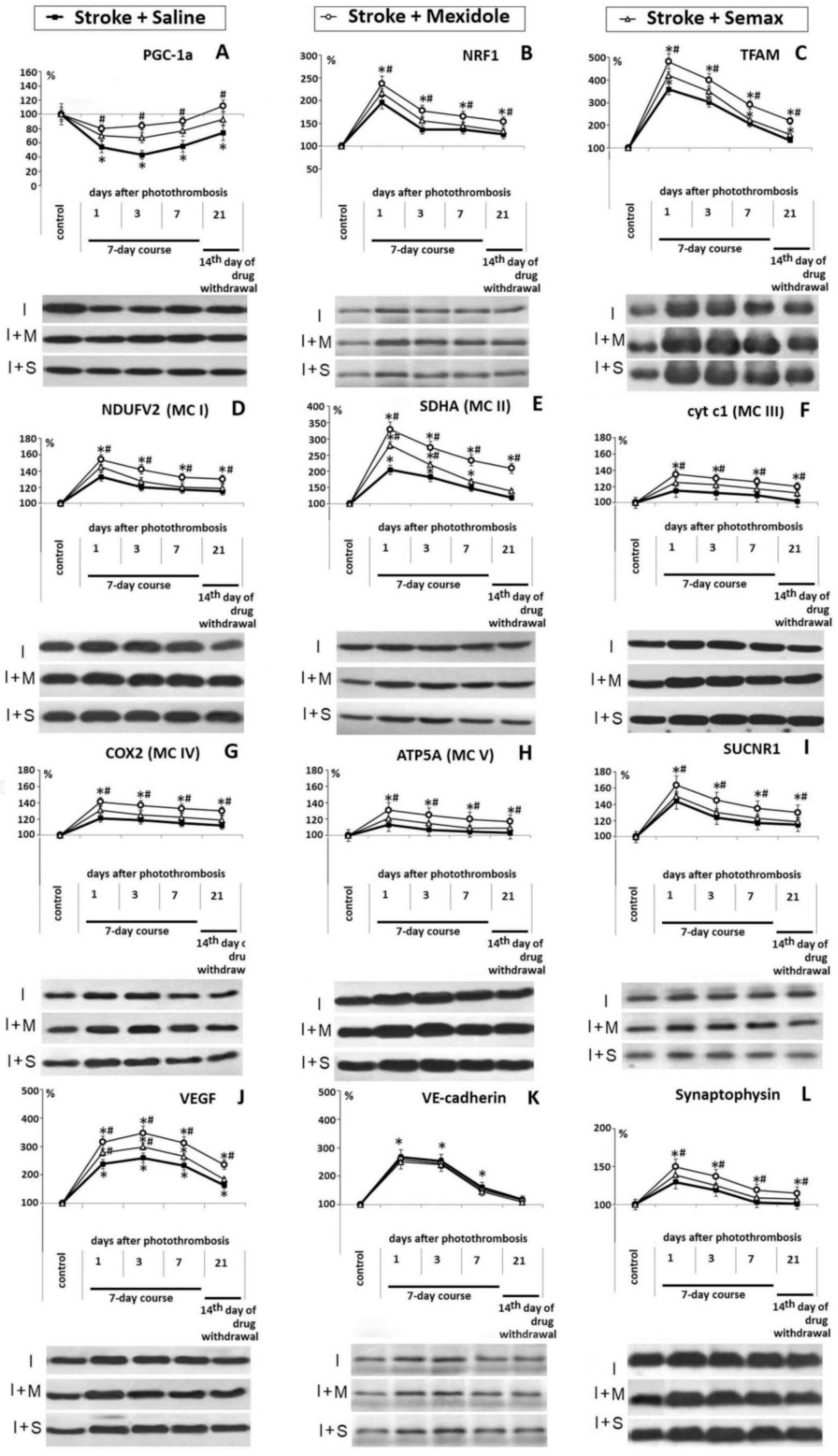 Brainsci 11 00325 g006
