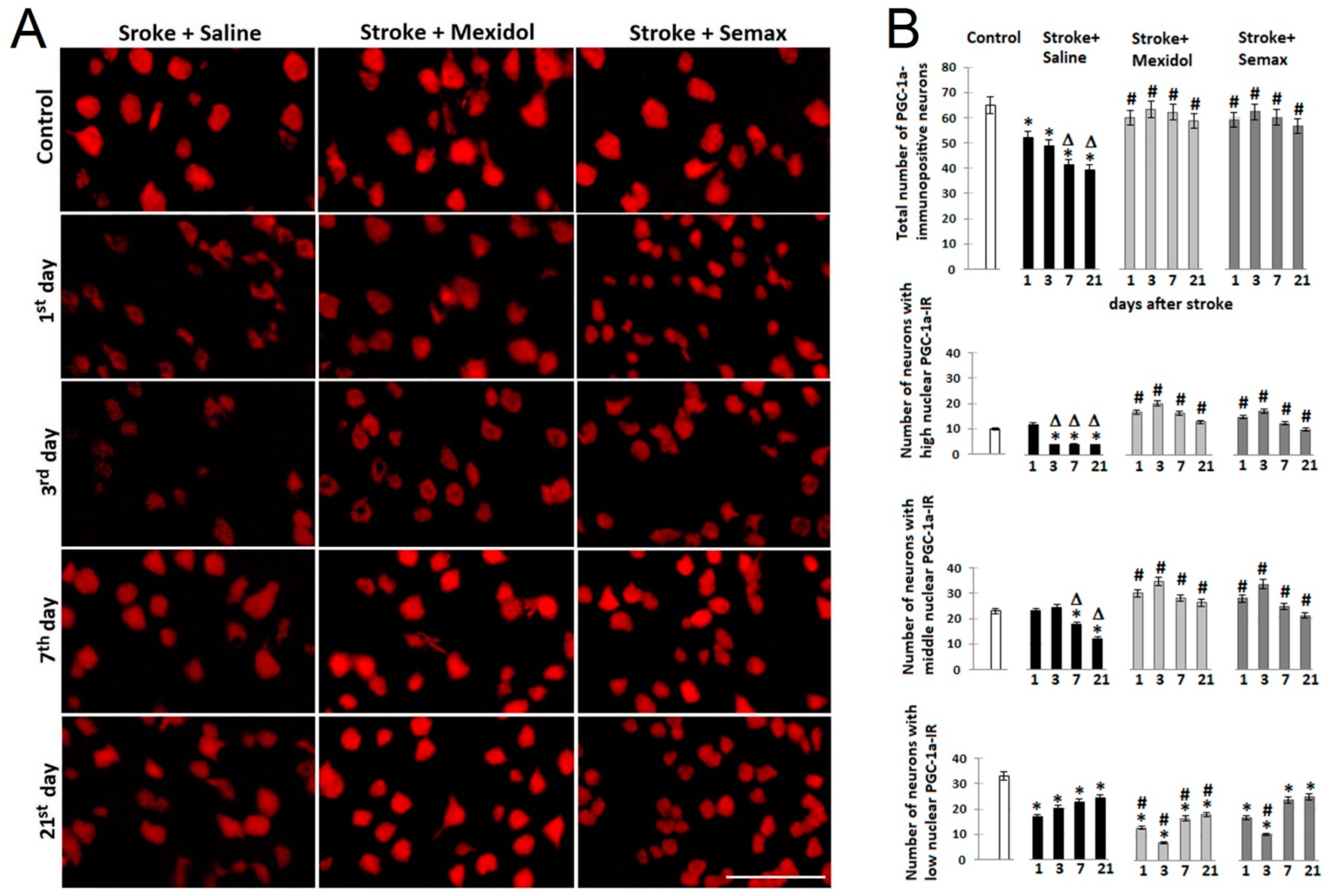 Brainsci 11 00325 g007