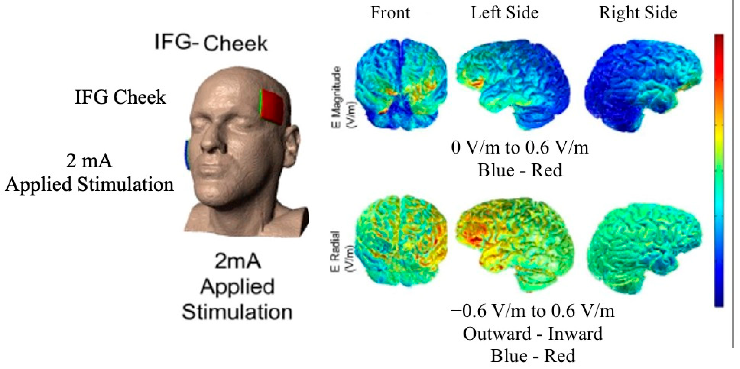 Brainsci 11 00335 g001
