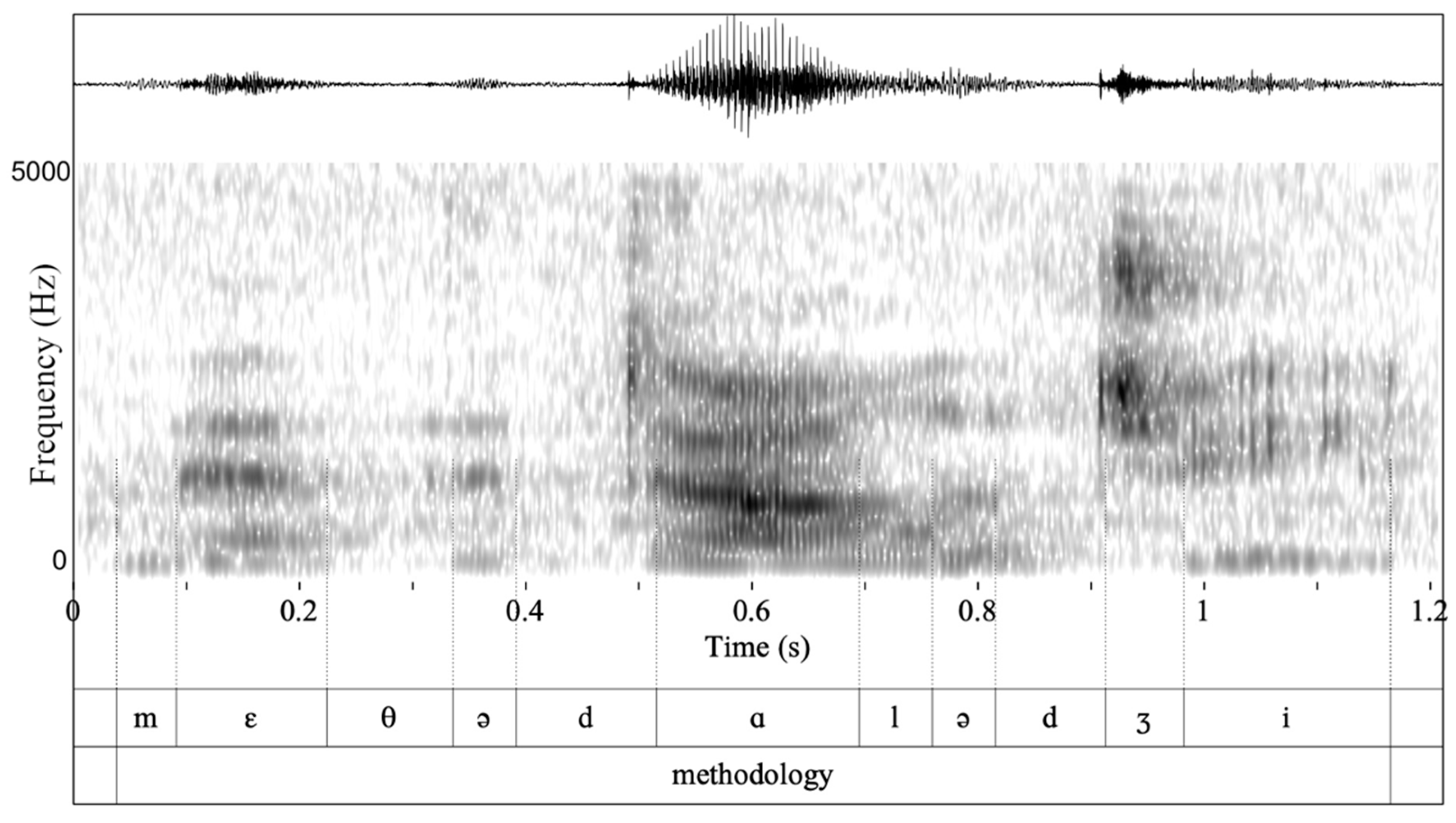 Brainsci 11 00335 g002
