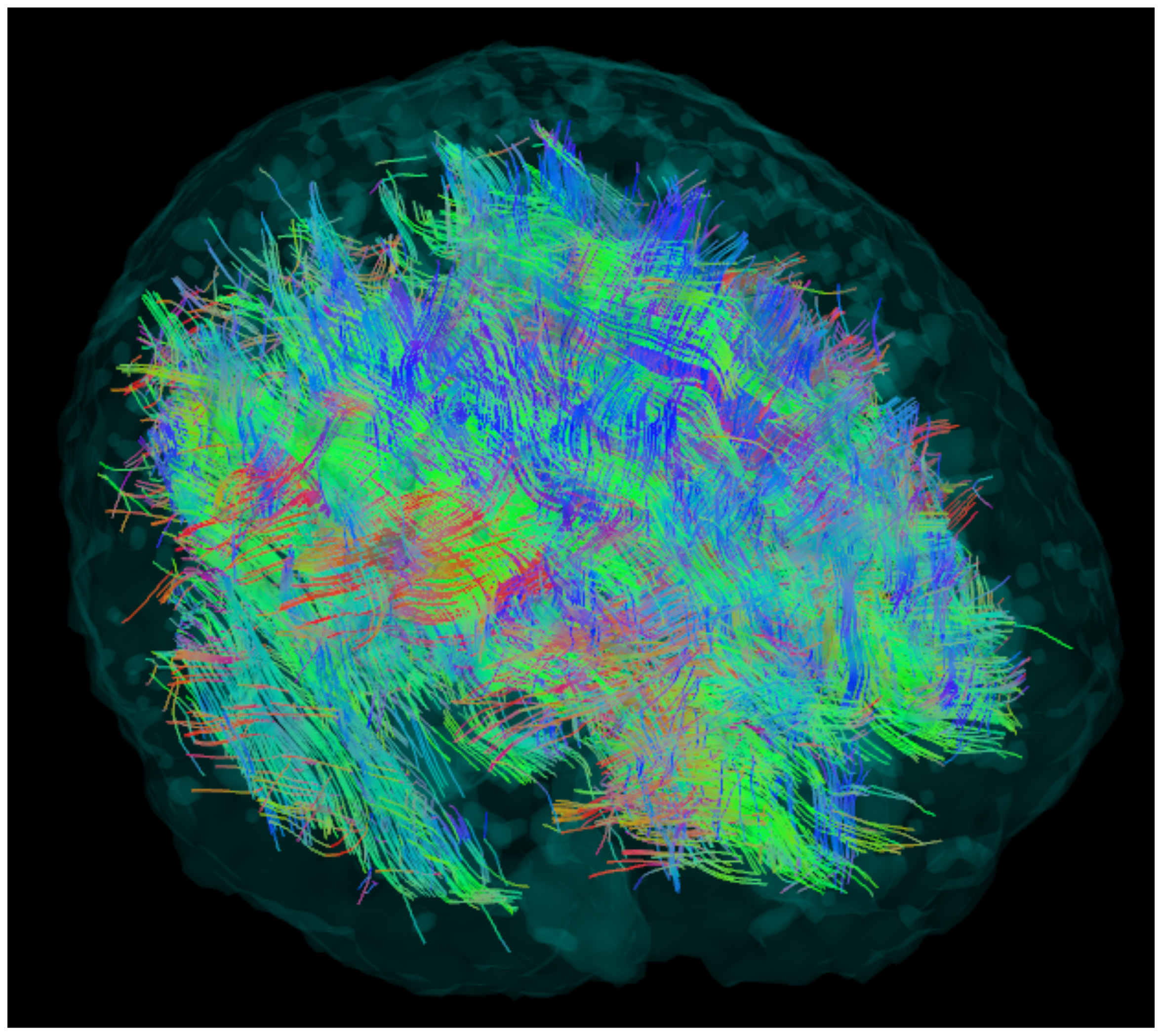 Brainsci 11 00342 g001