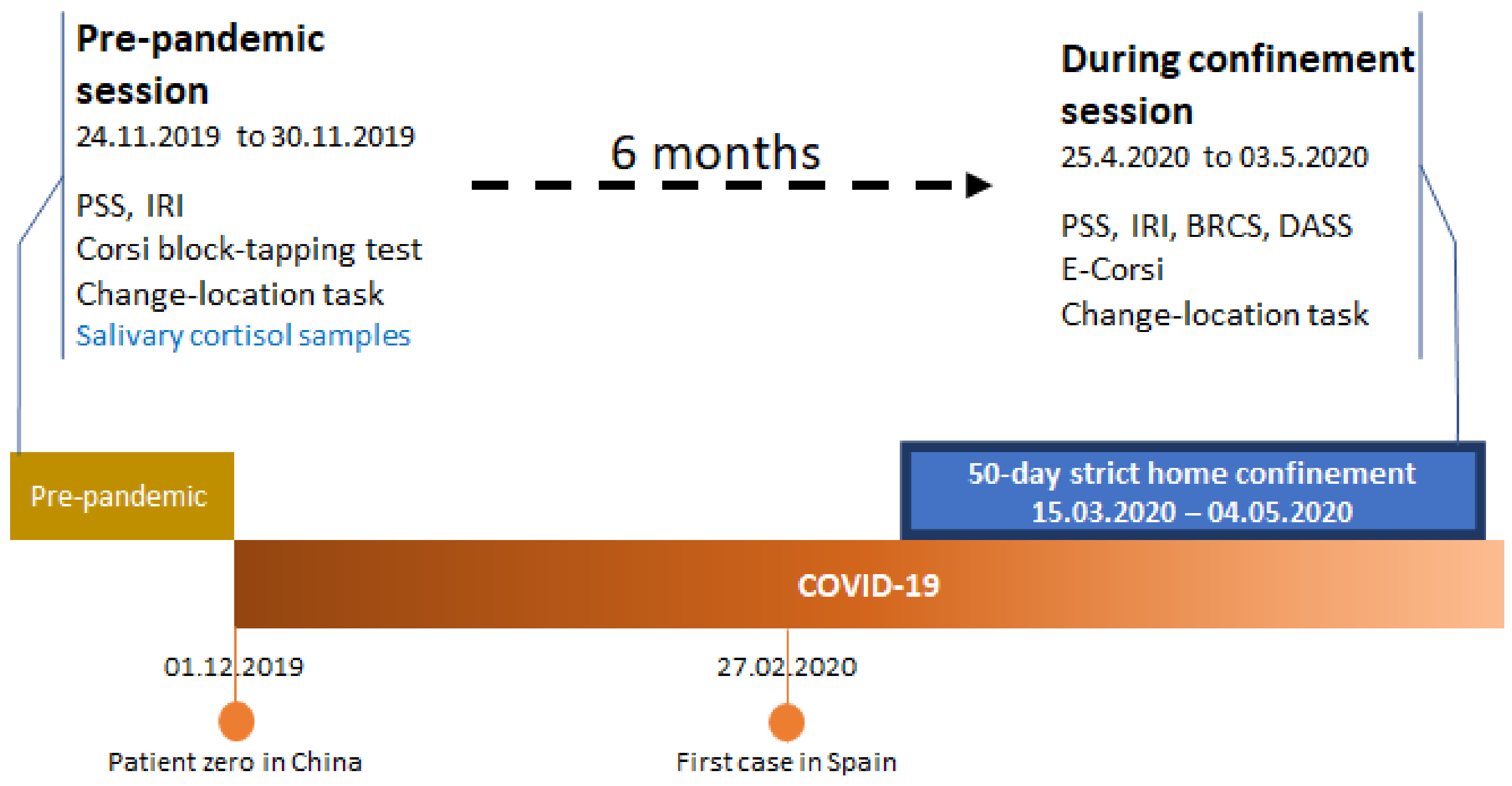 Brainsci 11 00348 g002