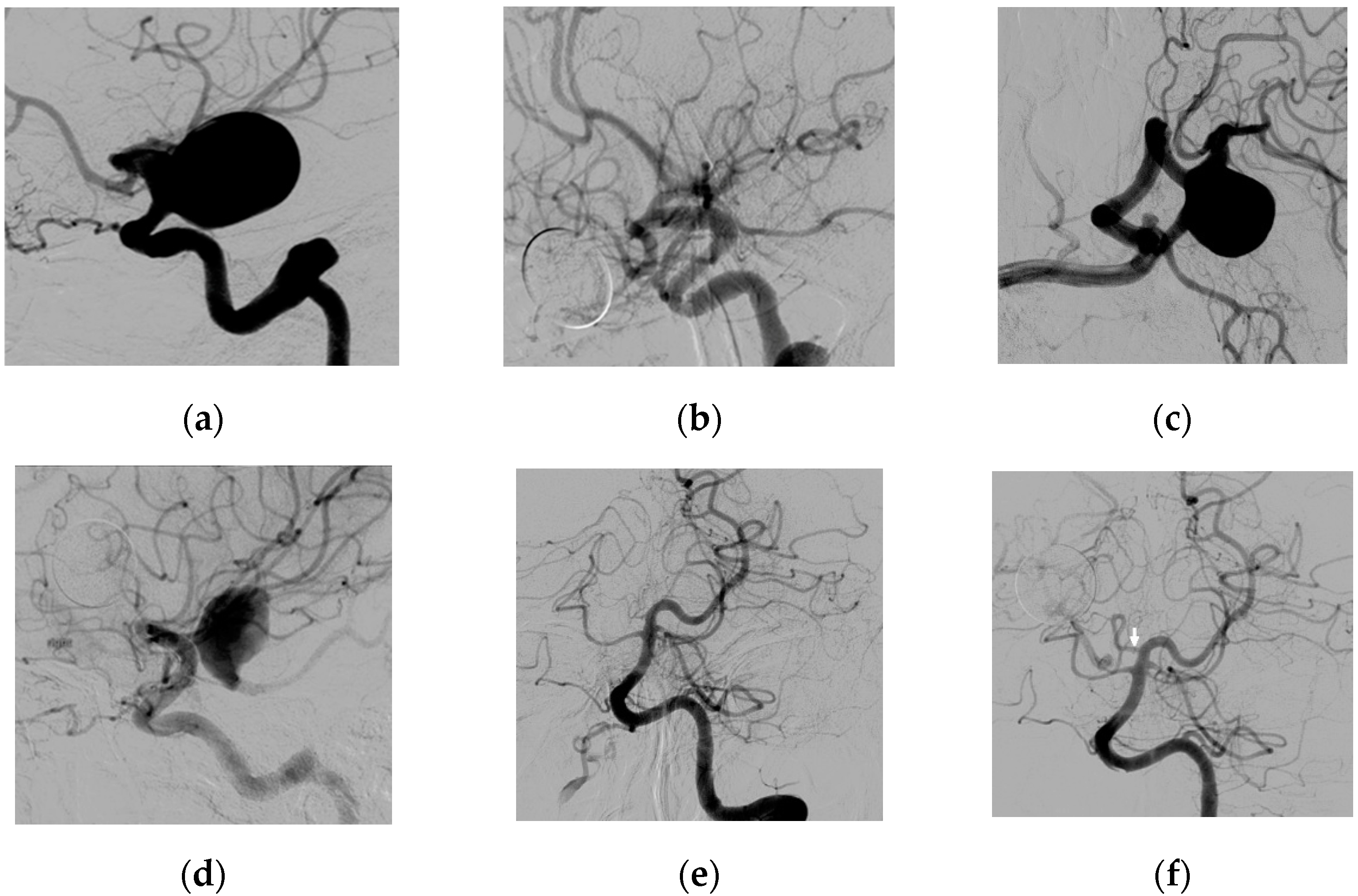 Brainsci 11 00349 g001