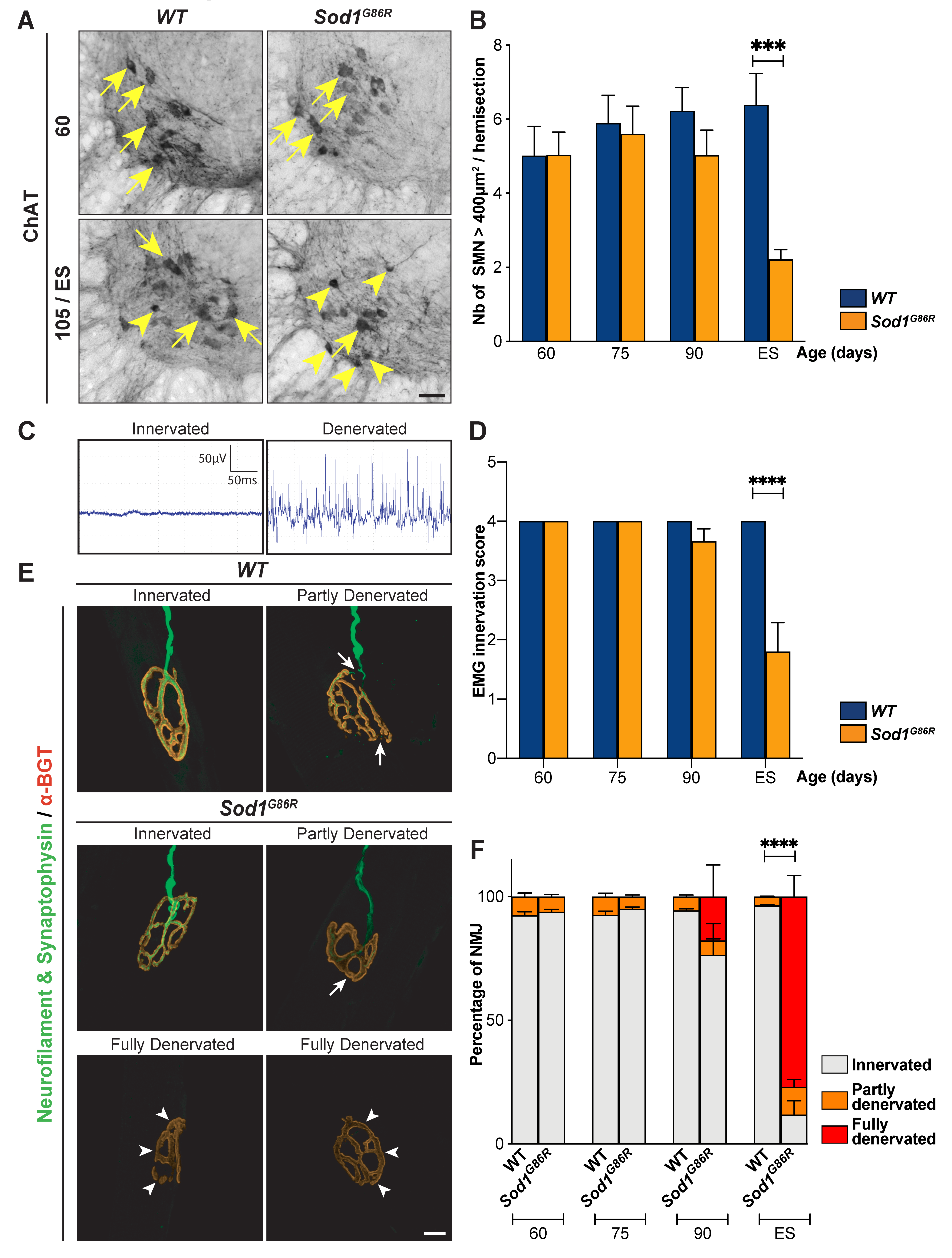 Brainsci 11 00369 g005 Brainsci 11 00369 g005
