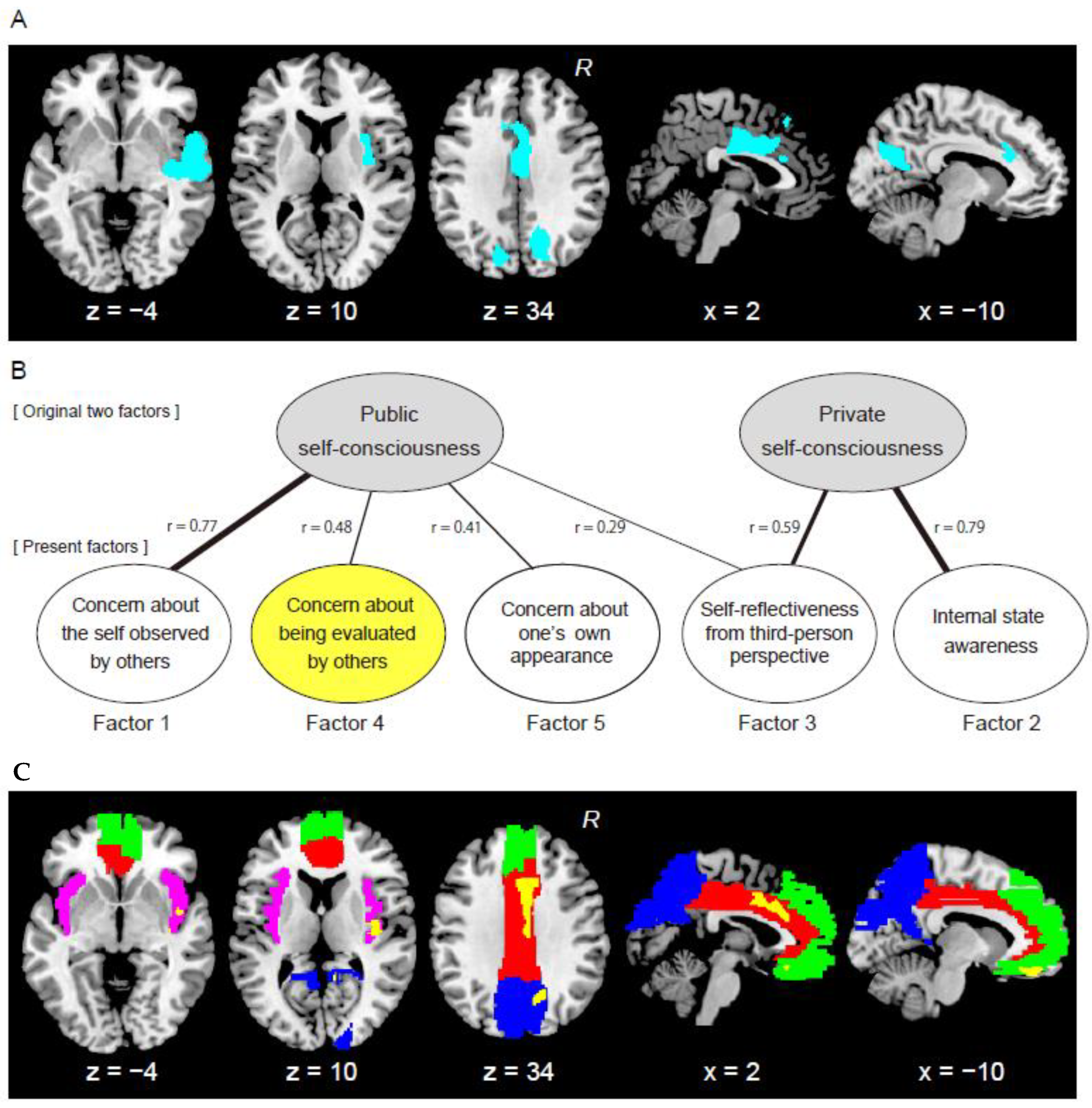 Brainsci 11 00374 g001