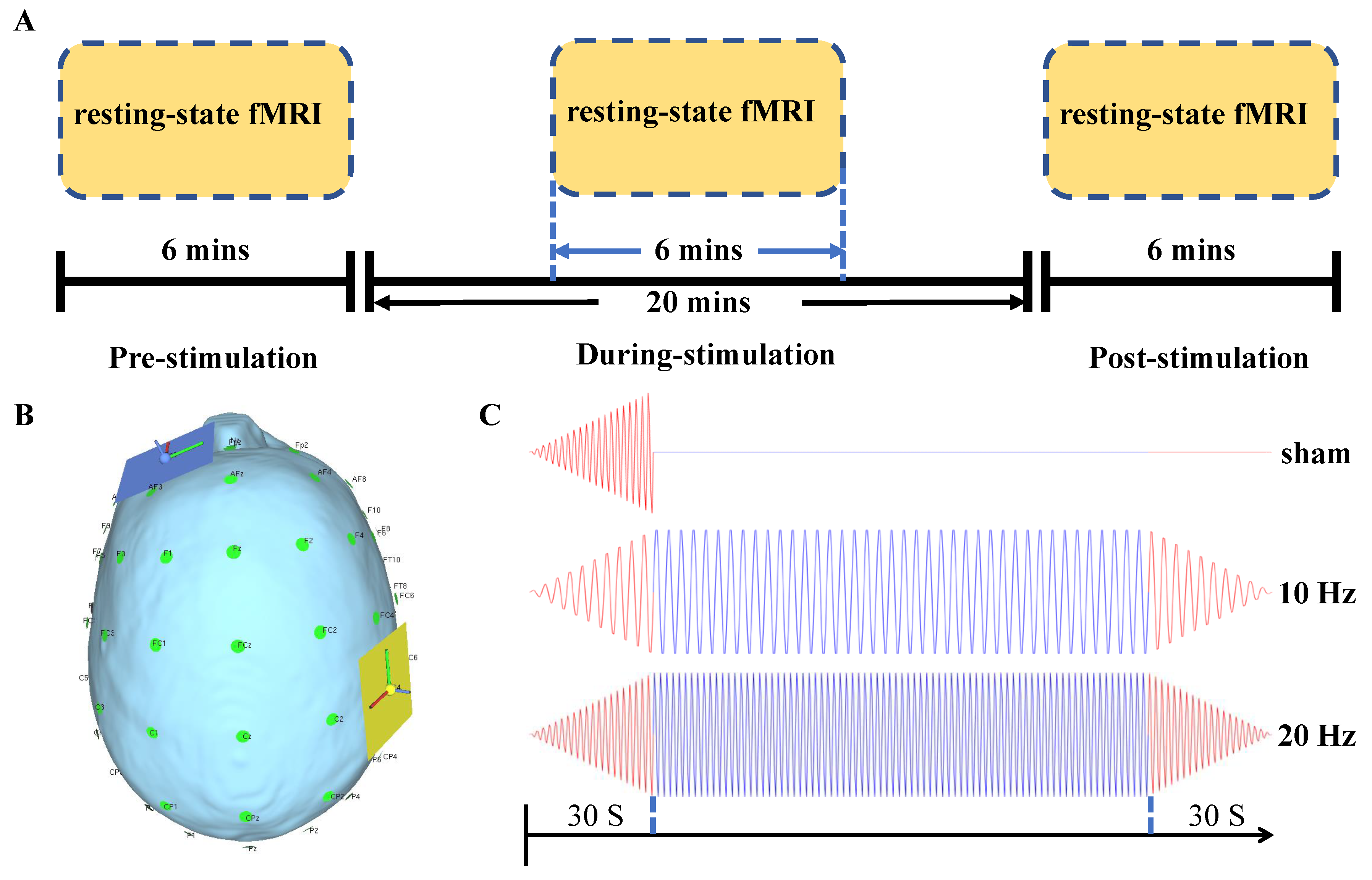 Brainsci 11 00377 g001