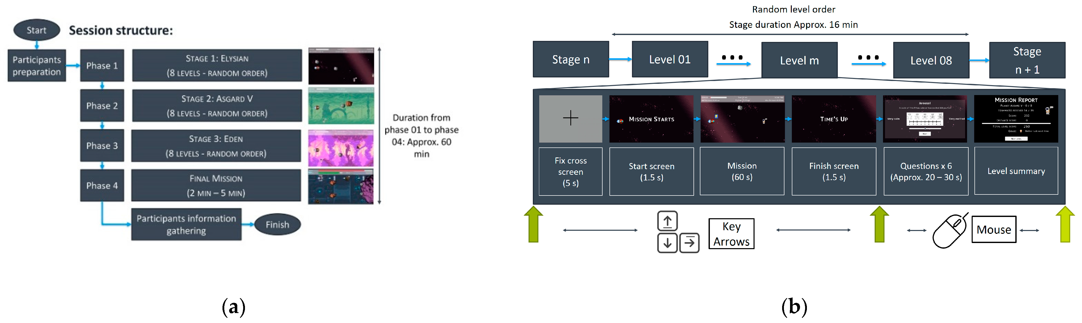 Brainsci 11 00378 g001