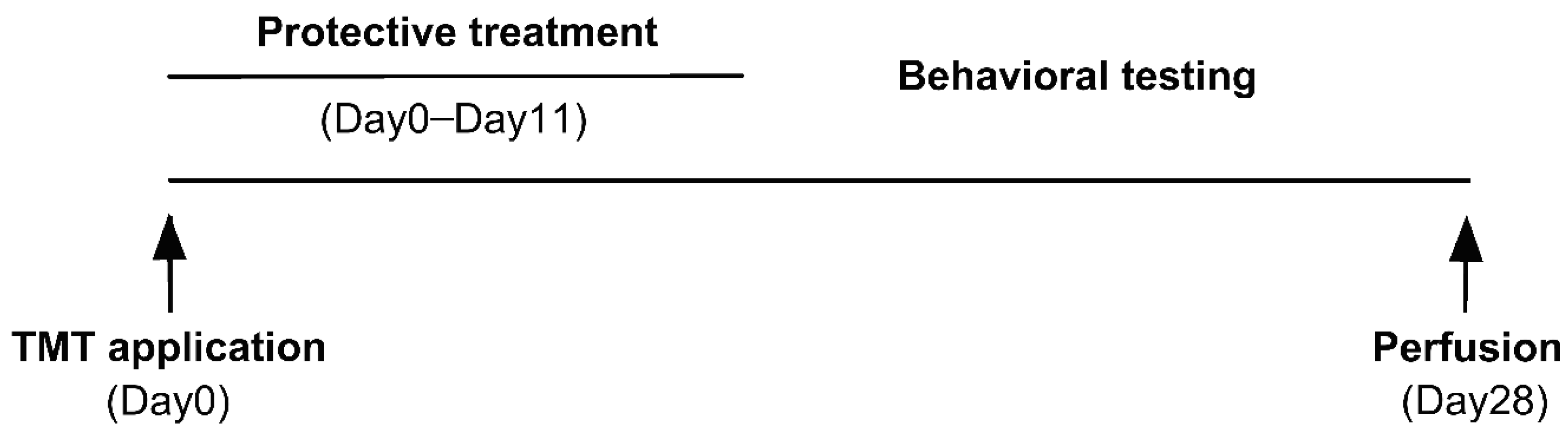 Brainsci 11 00400 g001