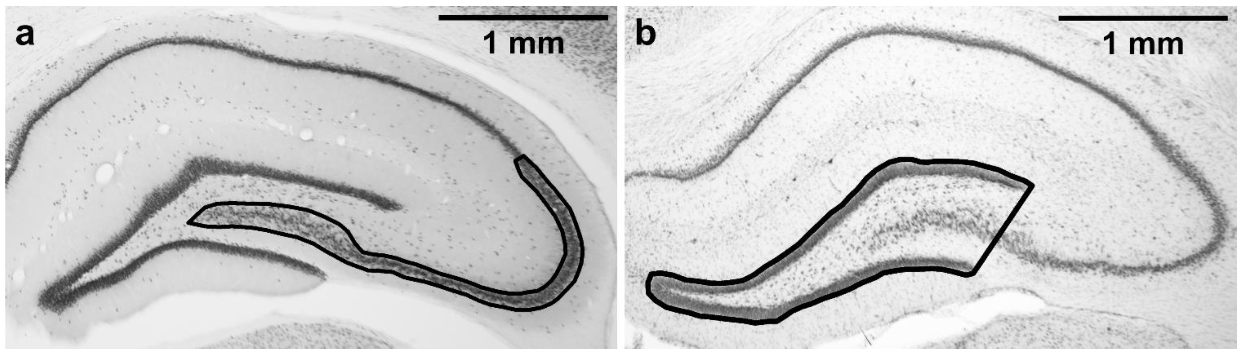 Brainsci 11 00400 g002