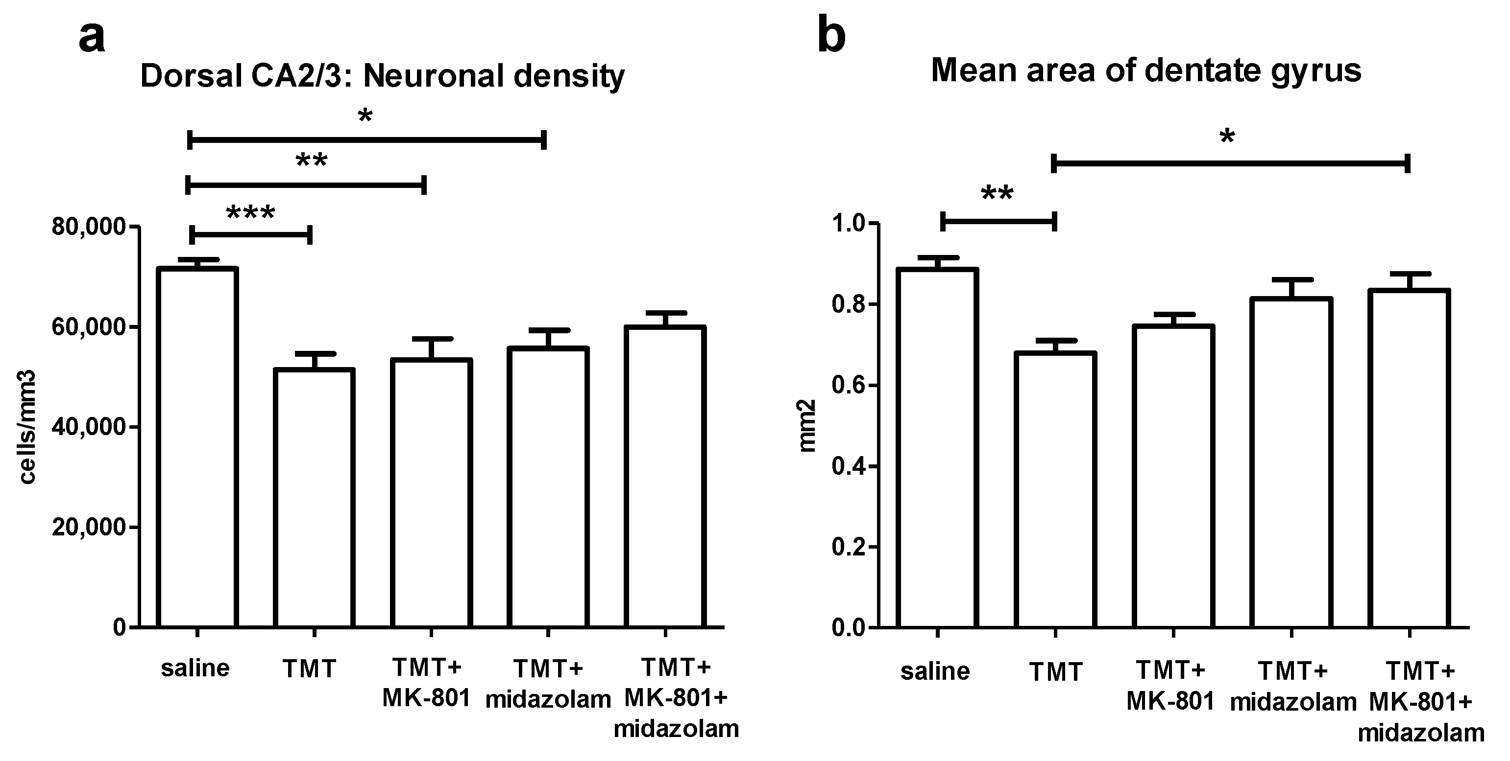 Brainsci 11 00400 g006