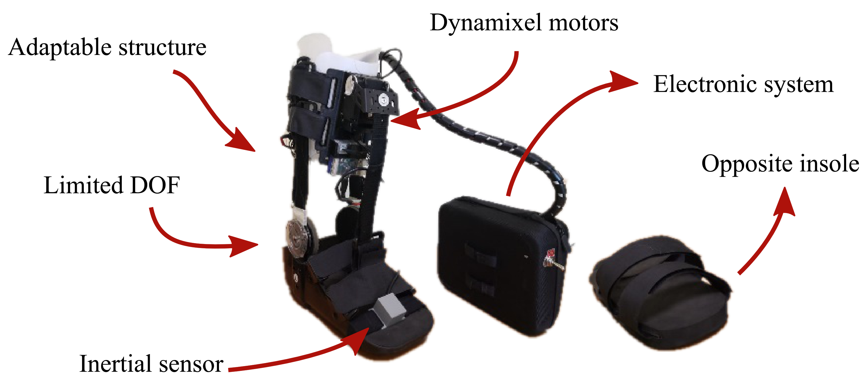 Brainsci 11 00412 g002