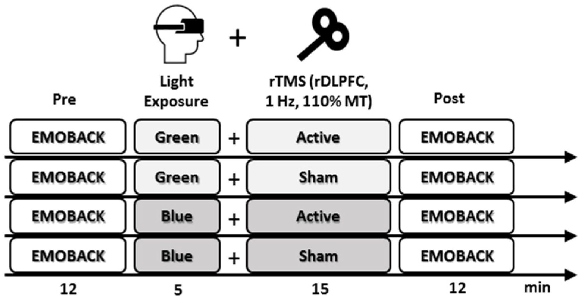 Brainsci 11 00446 g001
