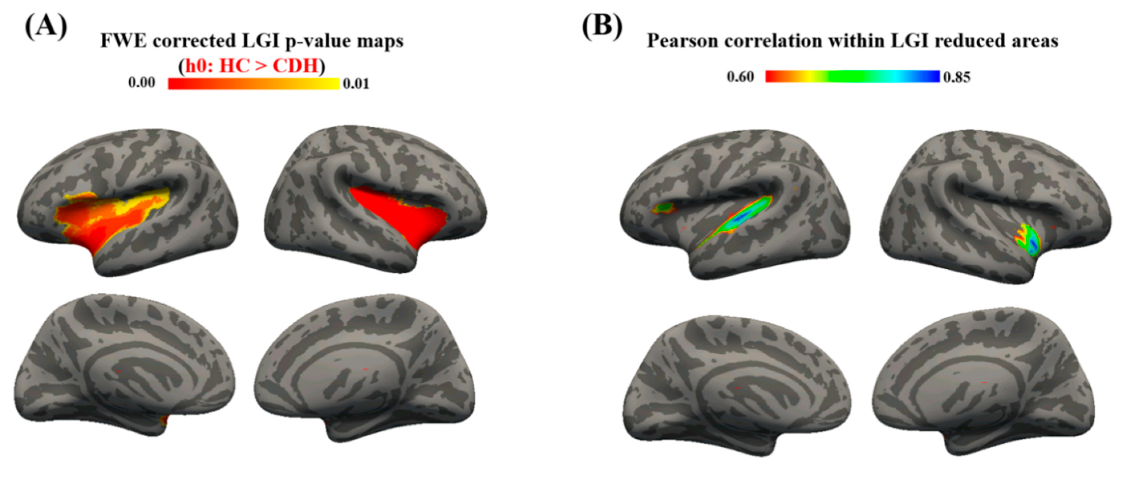 Brainsci 11 00455 g002 Brainsci 11 00455 g002