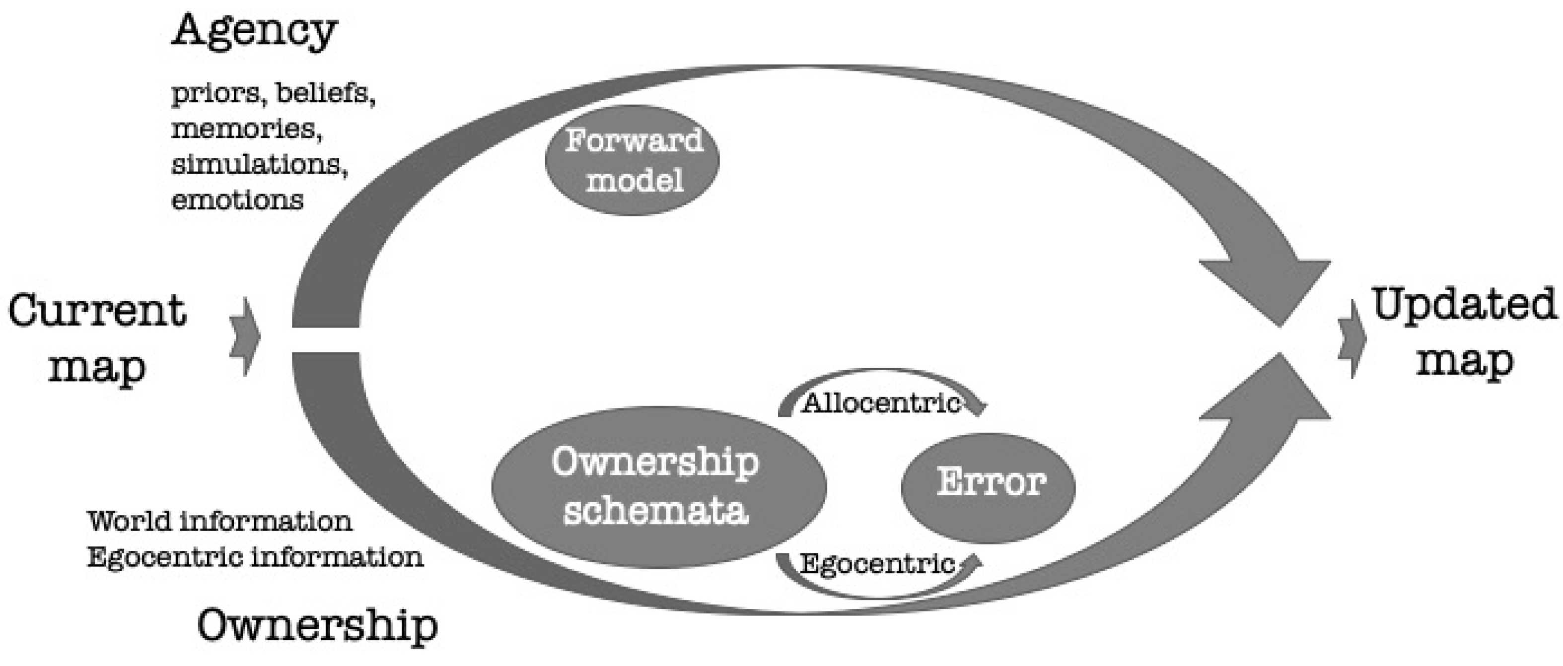 Brainsci 11 00460 g001 Brainsci 11 00460 g001