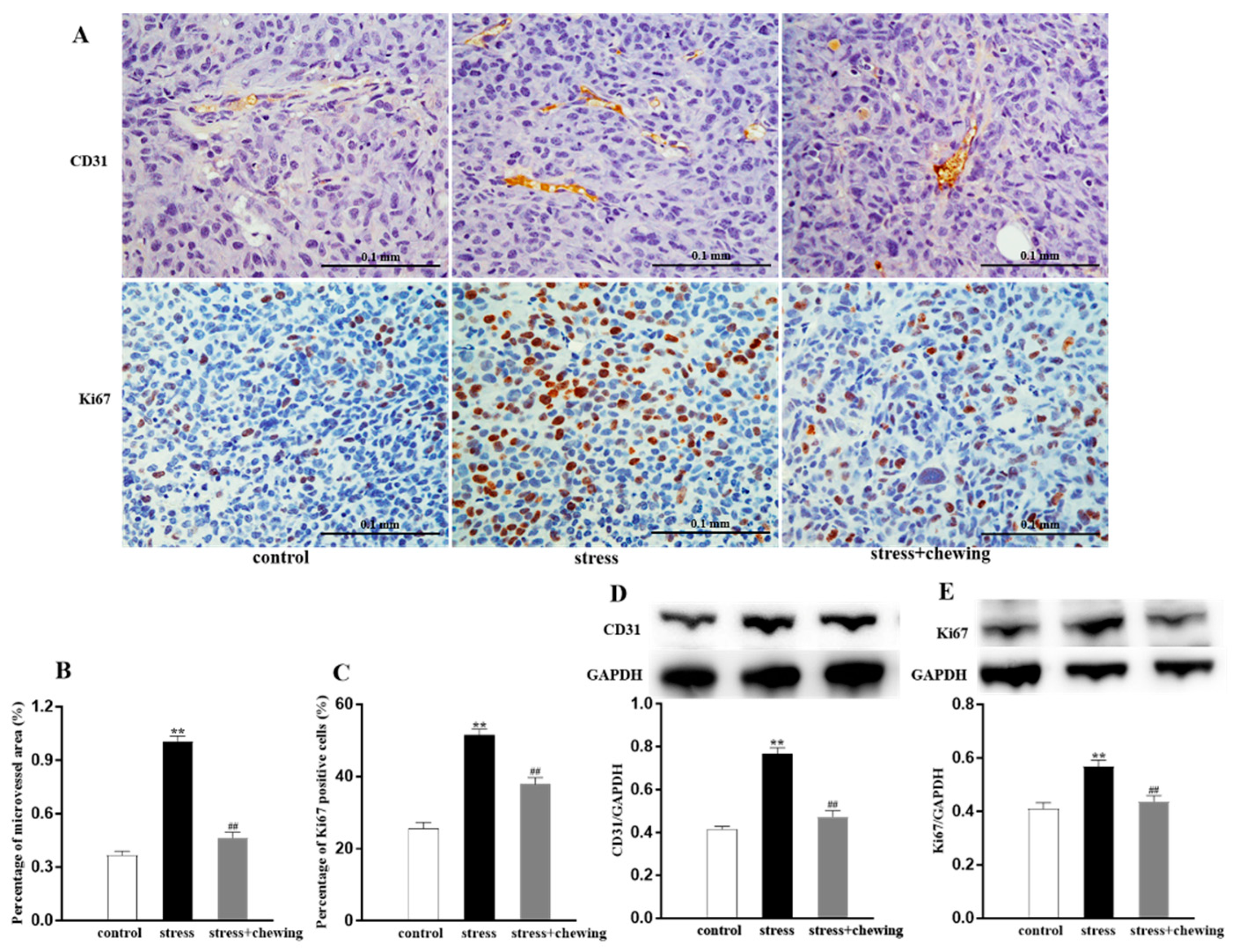 Brainsci 11 00479 g002