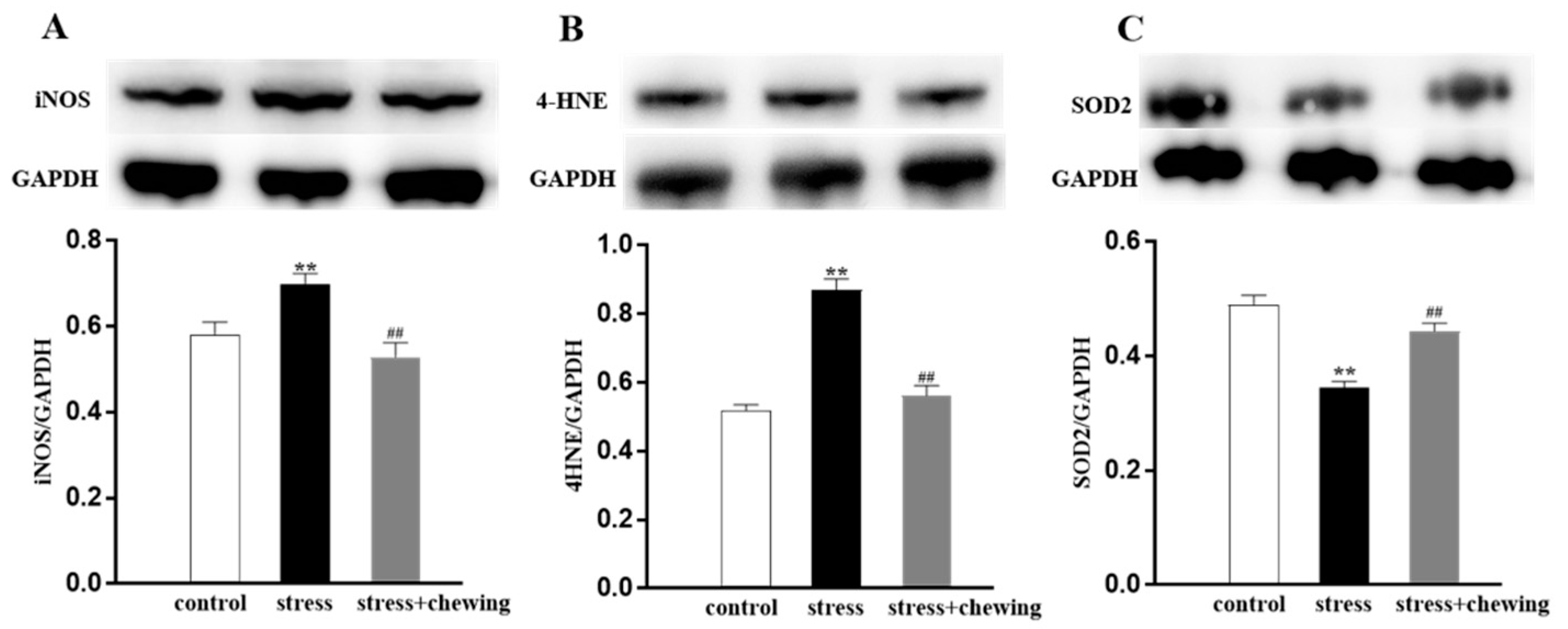 Brainsci 11 00479 g005
