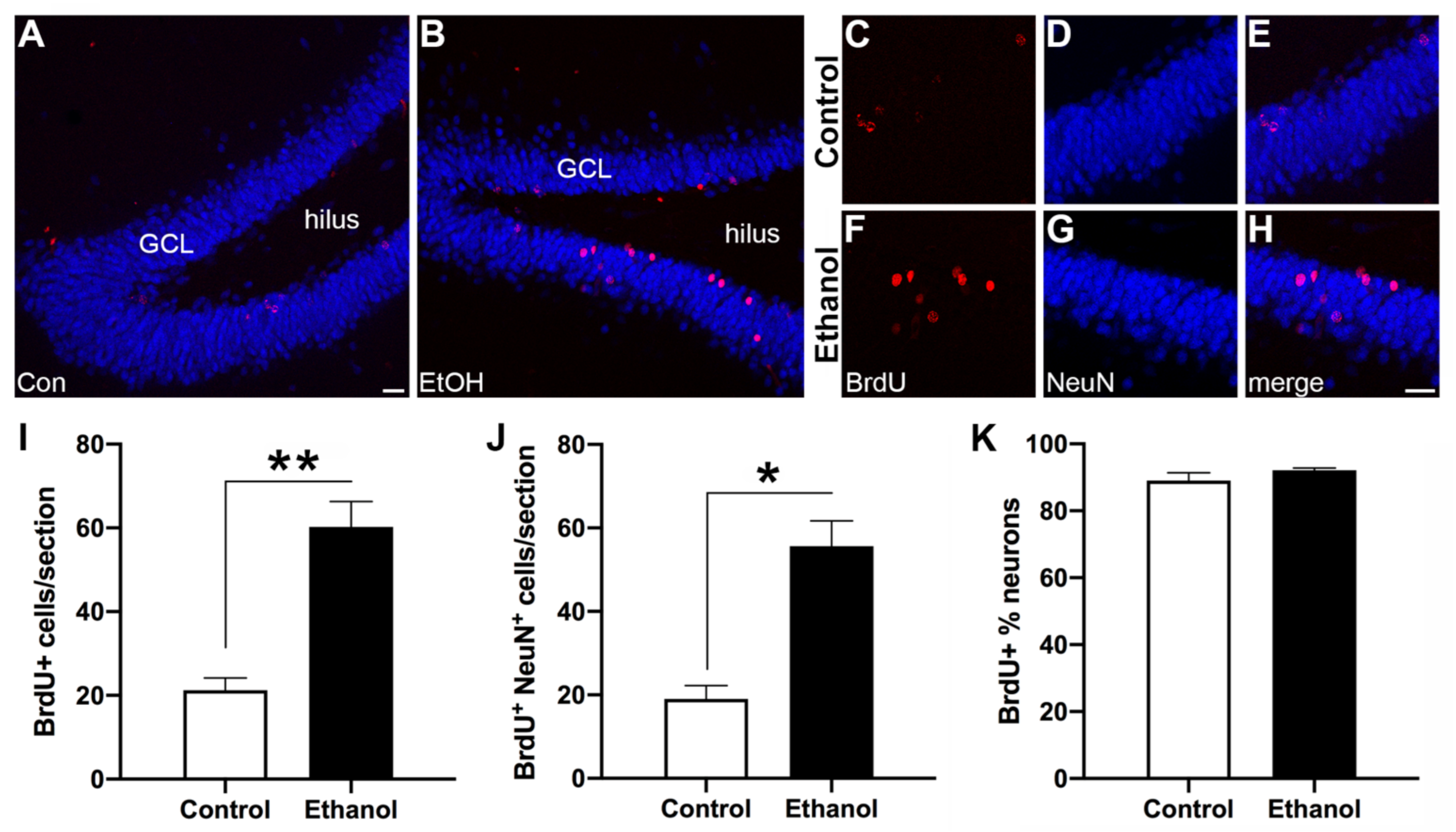 Brainsci 11 00499 g003