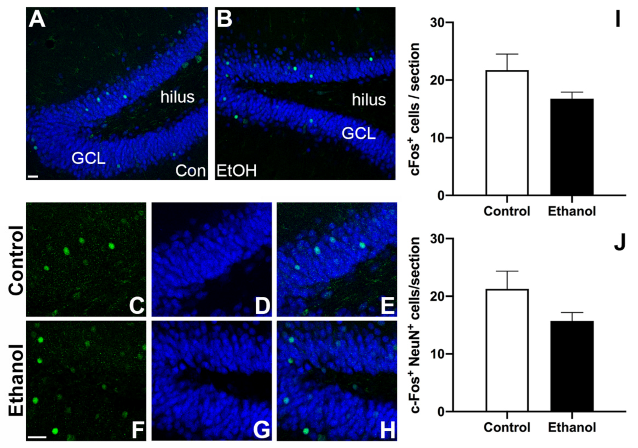 Brainsci 11 00499 g004
