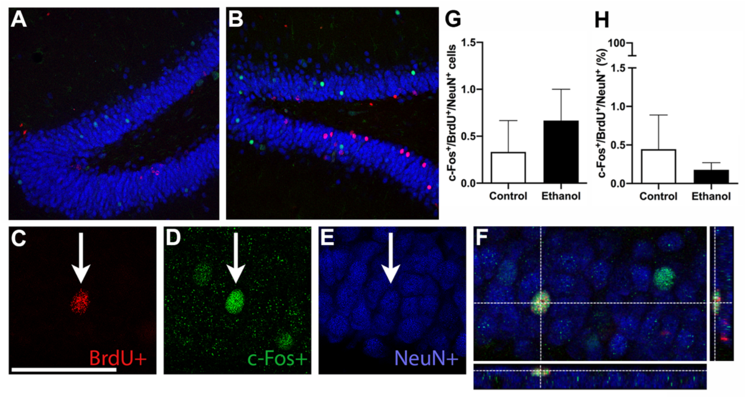 Brainsci 11 00499 g005
