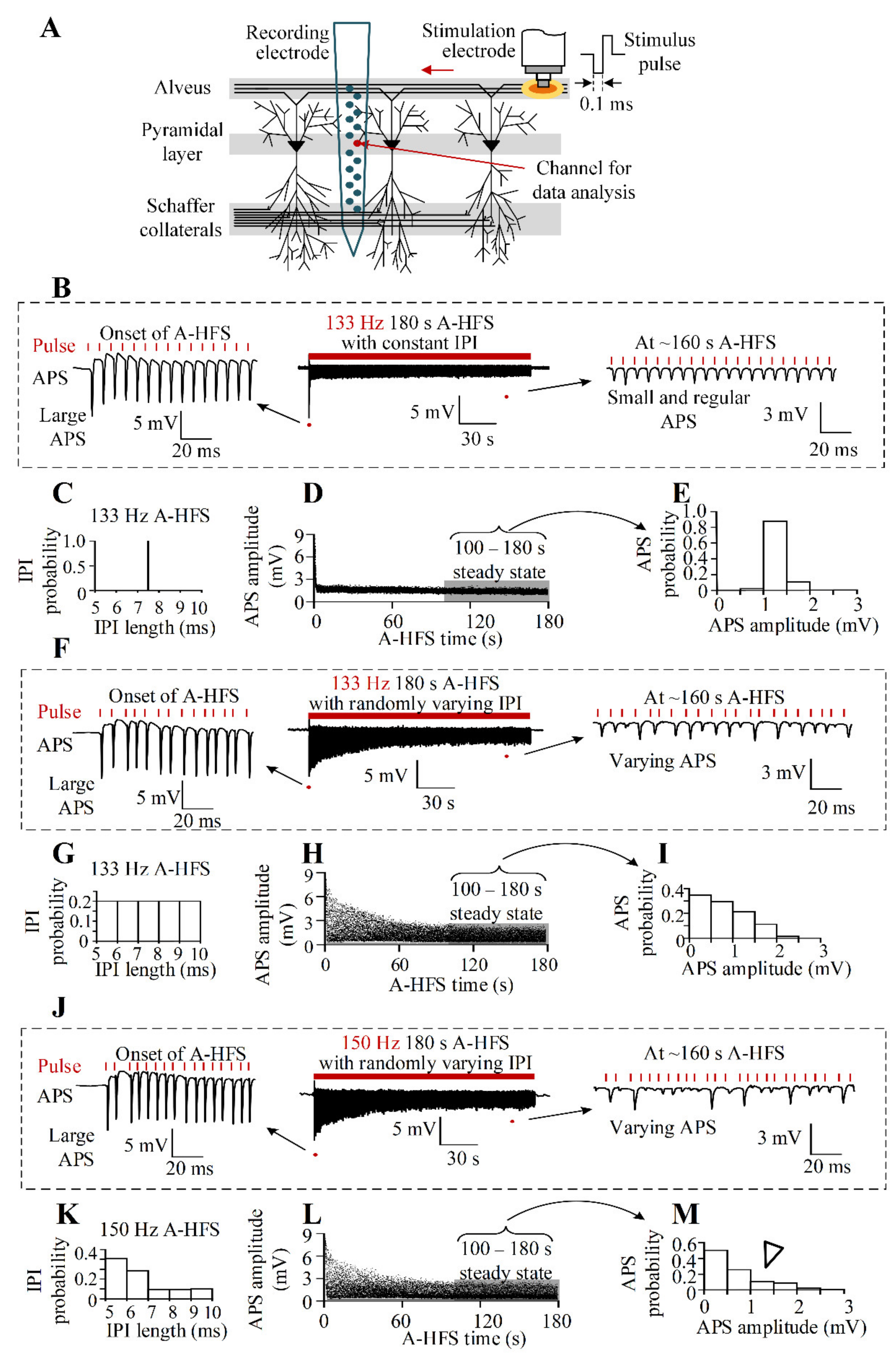 Brainsci 11 00509 g001