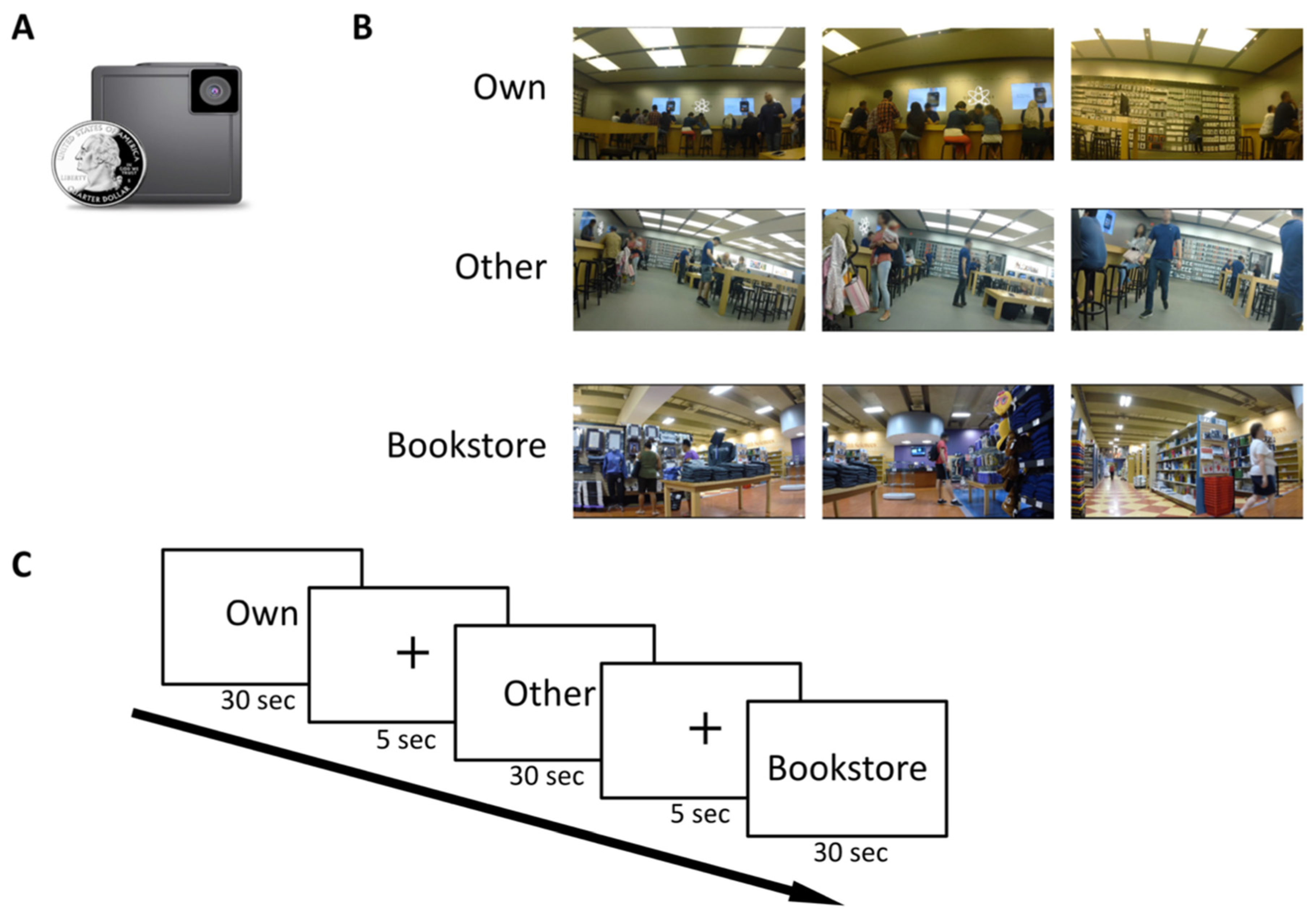 Brainsci 11 00521 g001
