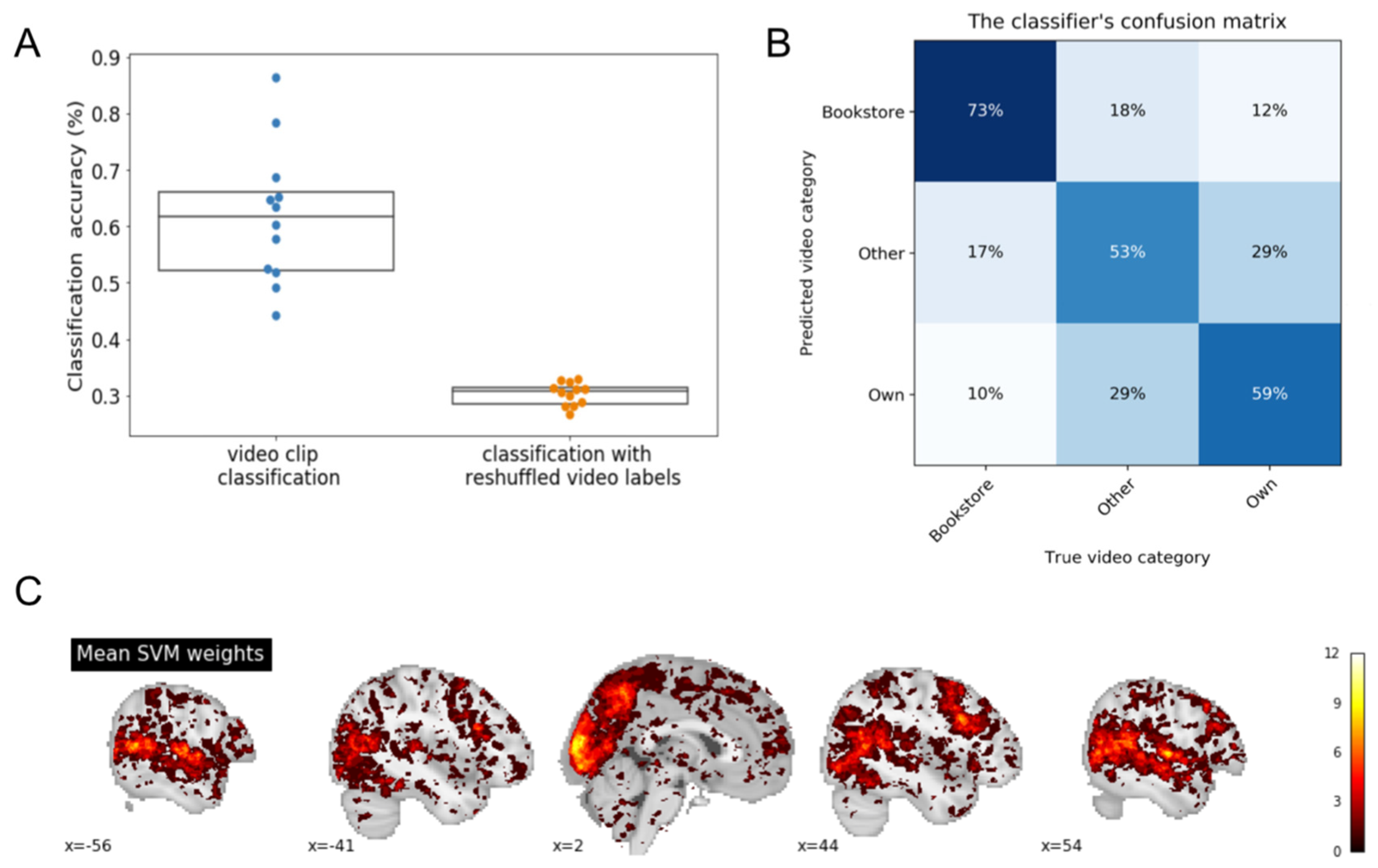 Brainsci 11 00521 g003