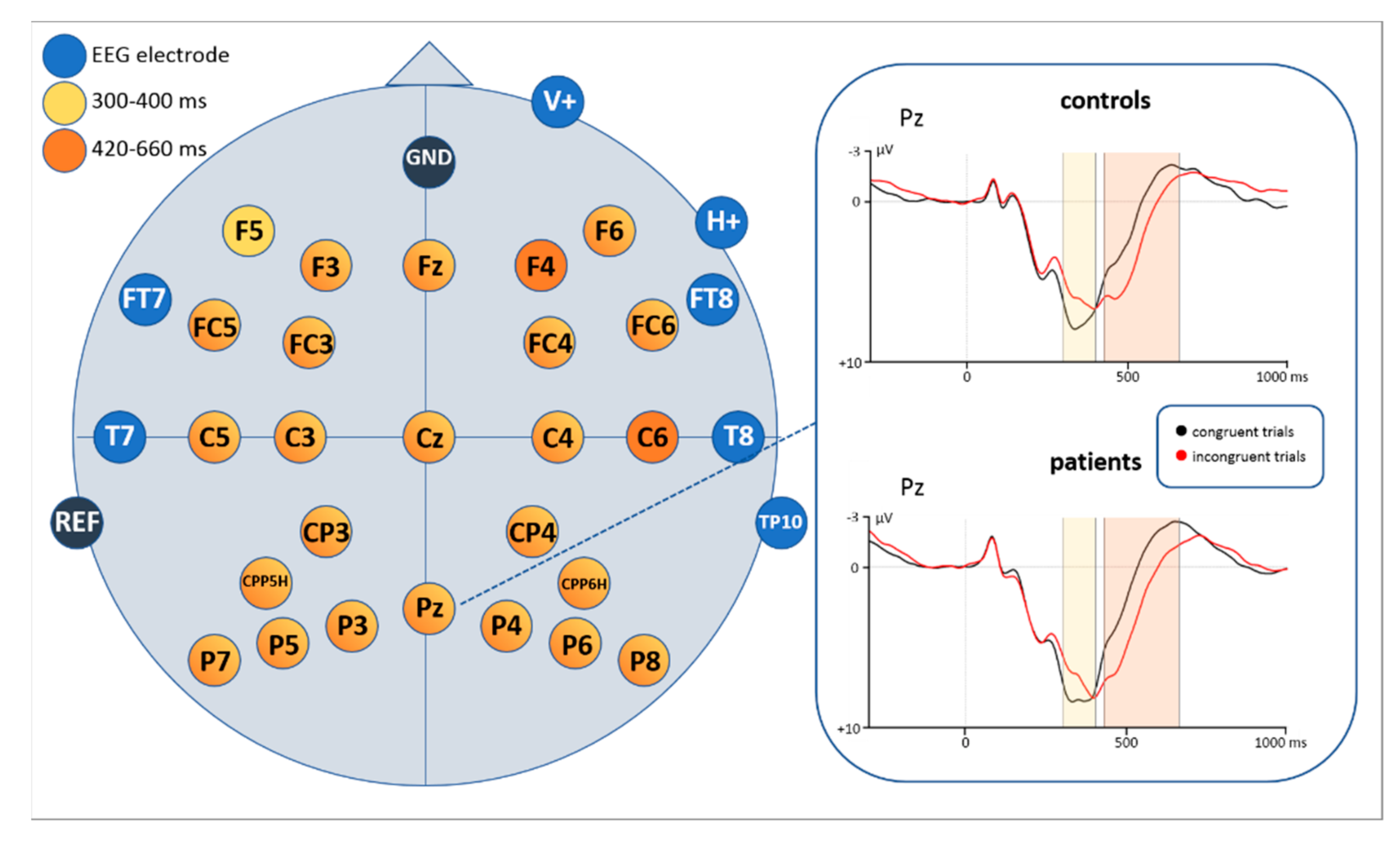 Brainsci 11 00543 g008