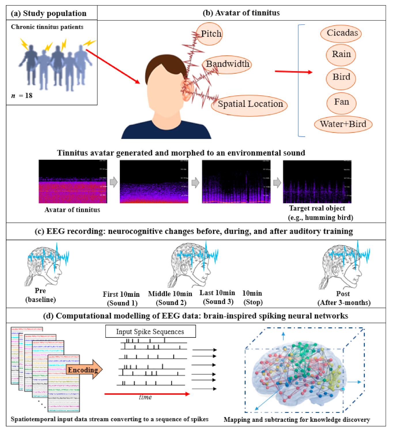 Brainsci 11 00554 g002