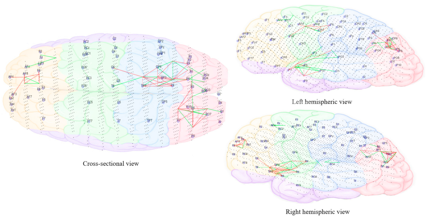 Brainsci 11 00554 g011