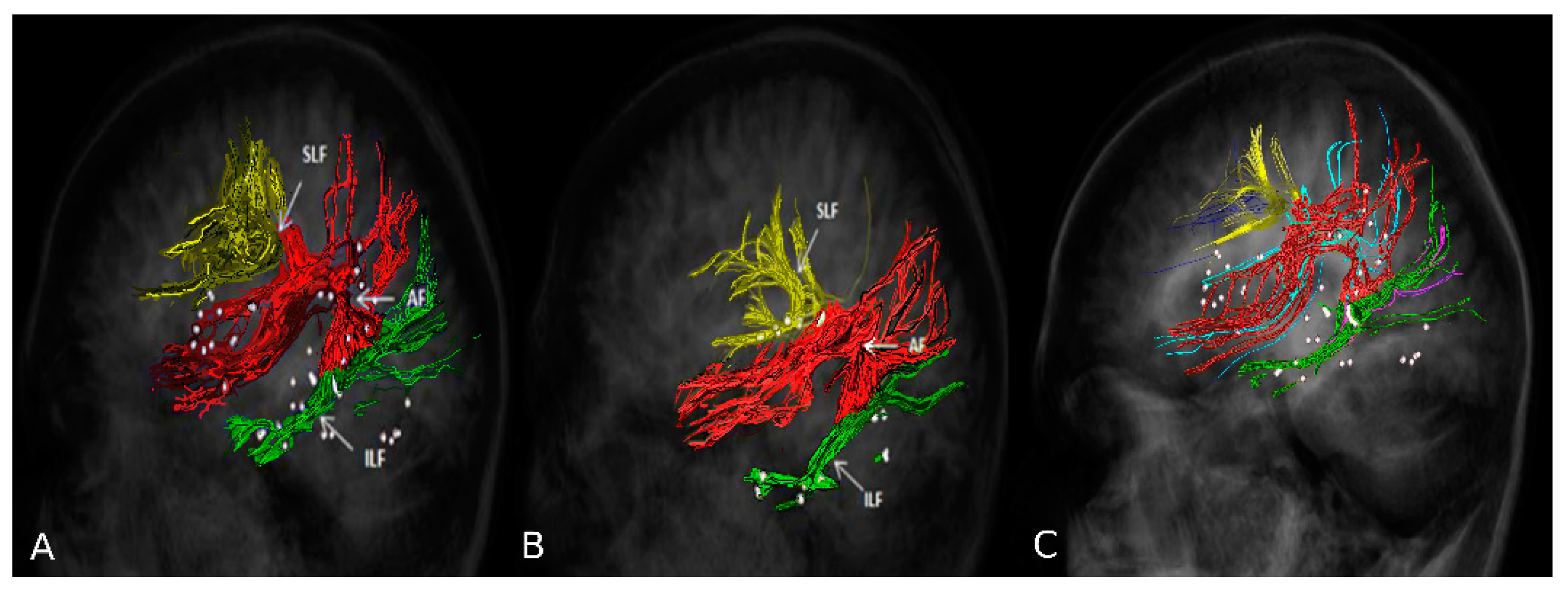 Brainsci 11 00557 g003