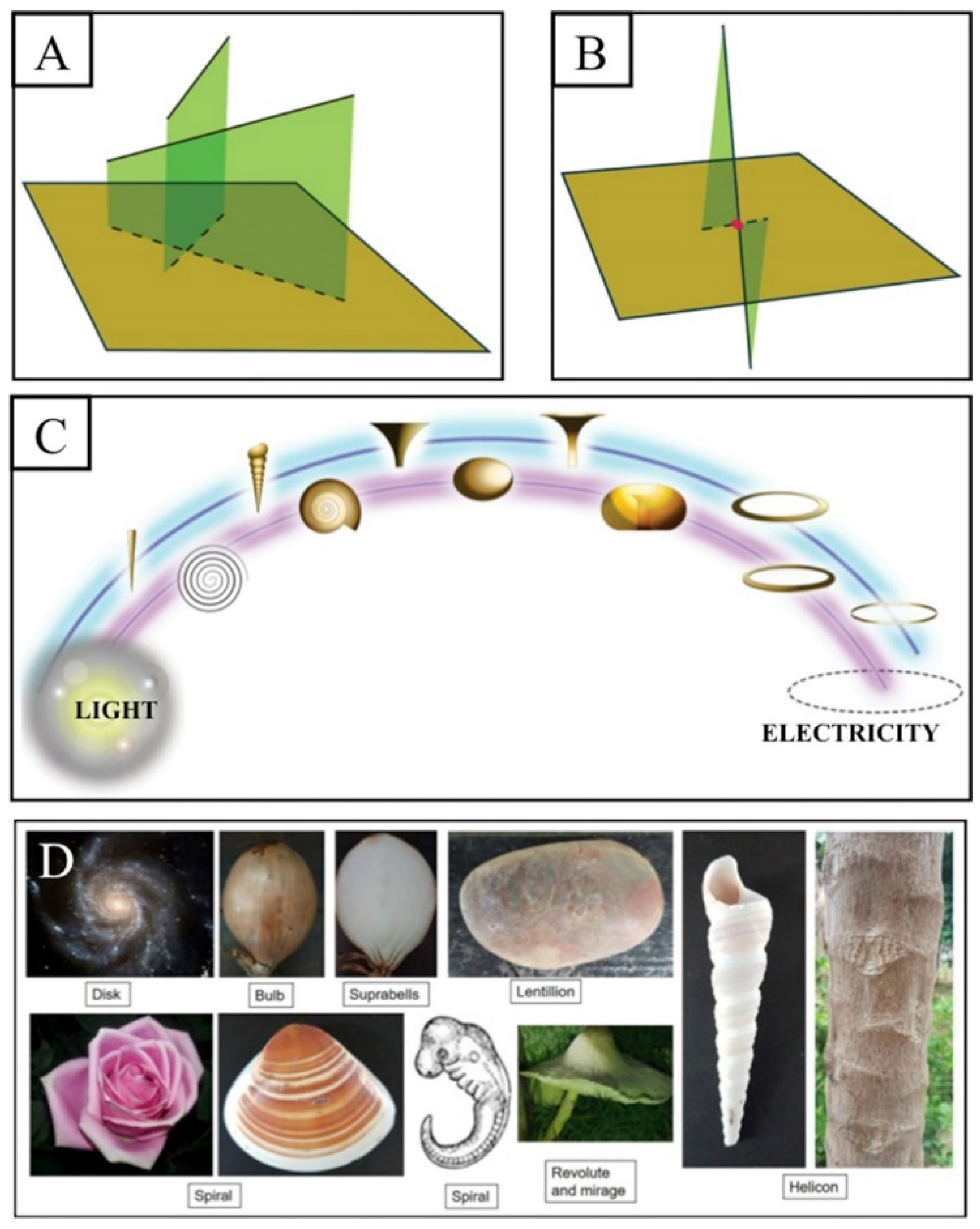Brainsci 11 00558 g002 Brainsci 11 00558 g002