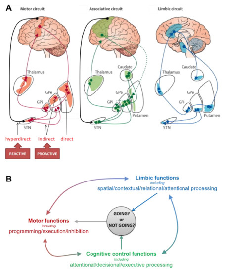 Brainsci 11 00560 g001