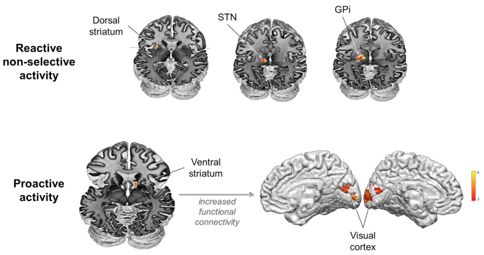 Brainsci 11 00560 g003