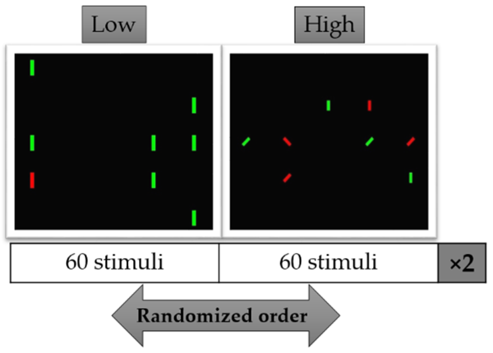 Brainsci 11 00562 g001