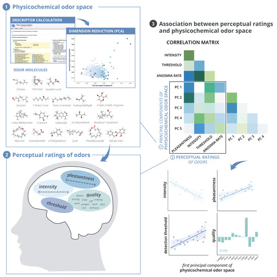 Brainsci 11 00563 g001