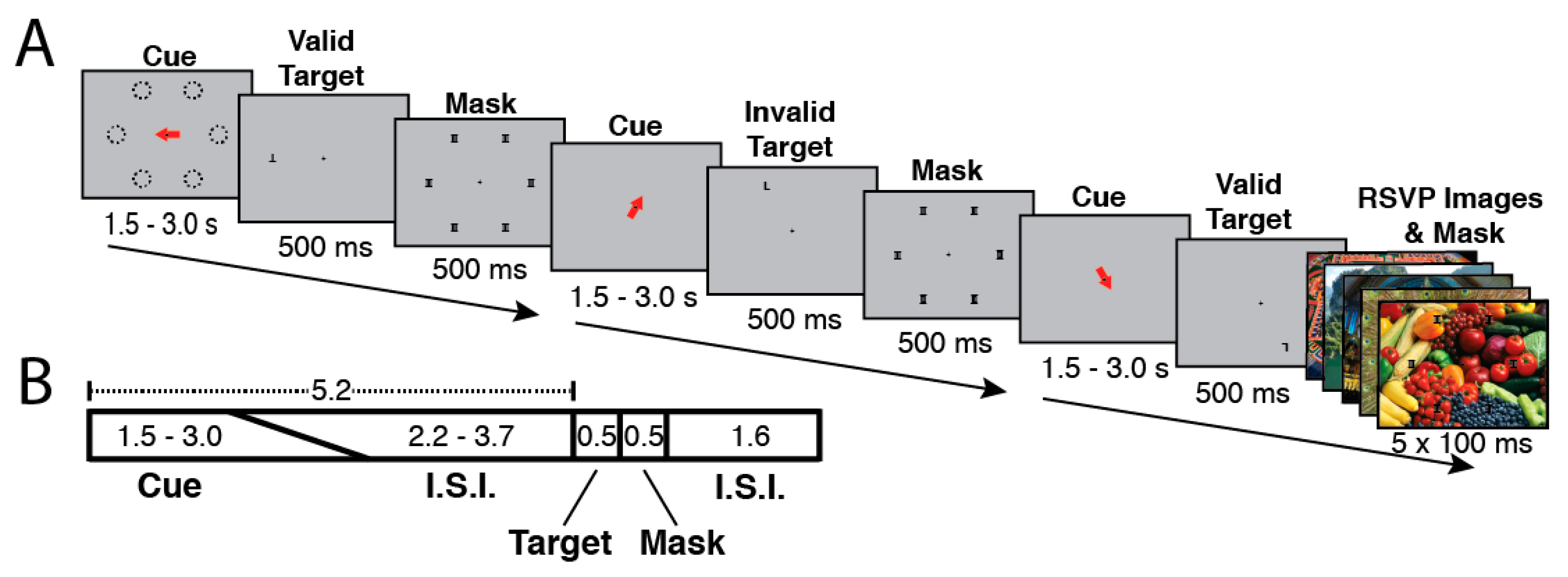 Brainsci 11 00566 g002