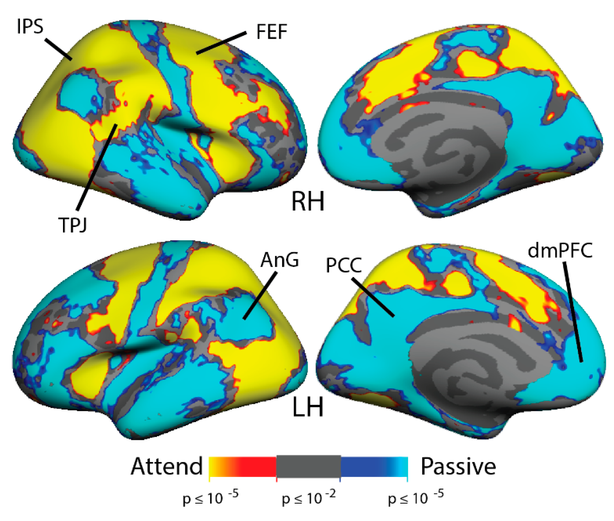 Brainsci 11 00566 g003