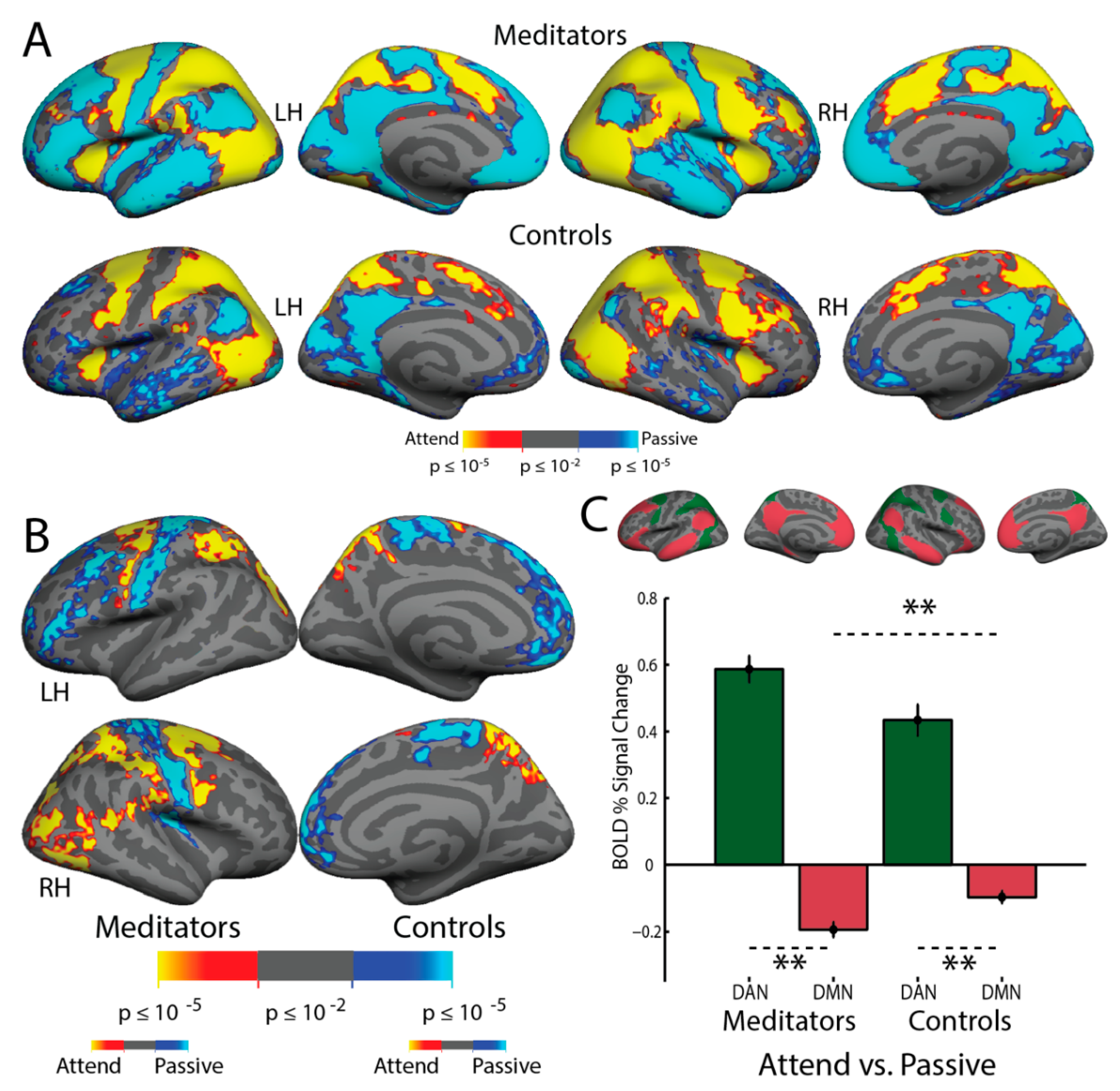 Brainsci 11 00566 g004