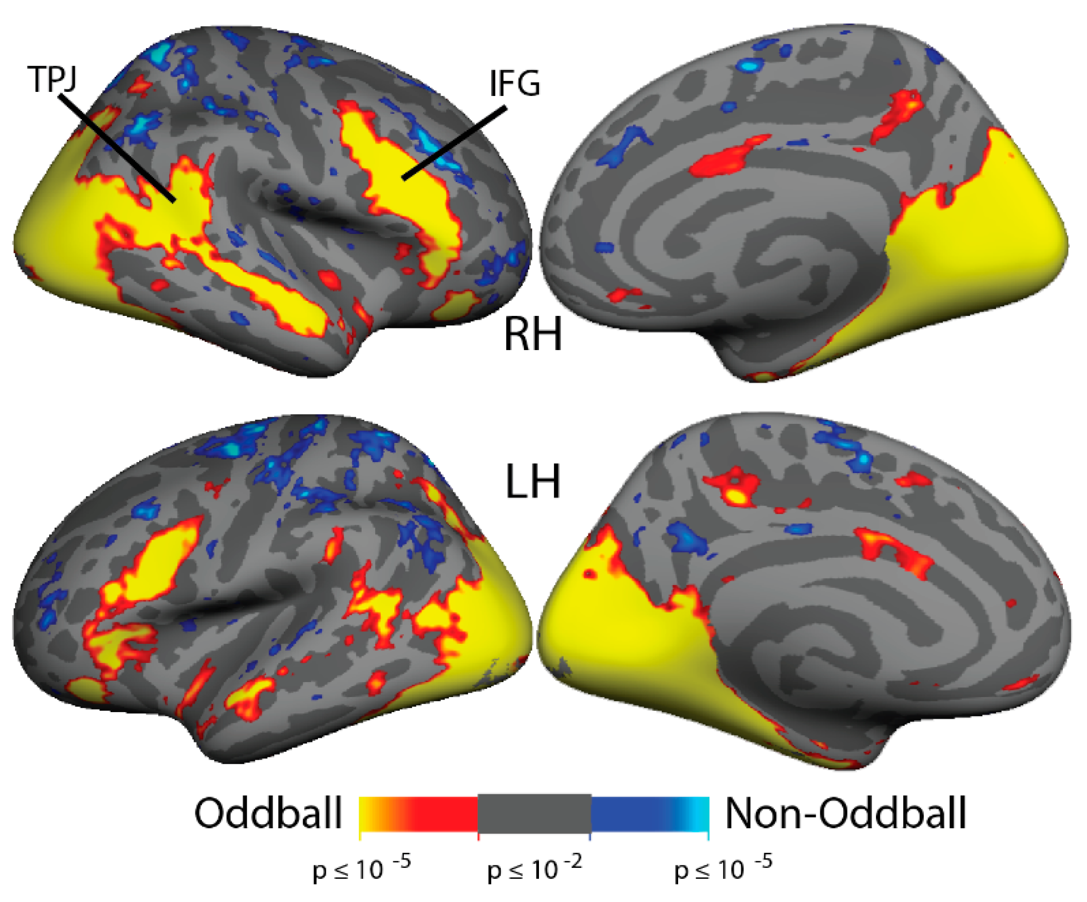 Brainsci 11 00566 g005