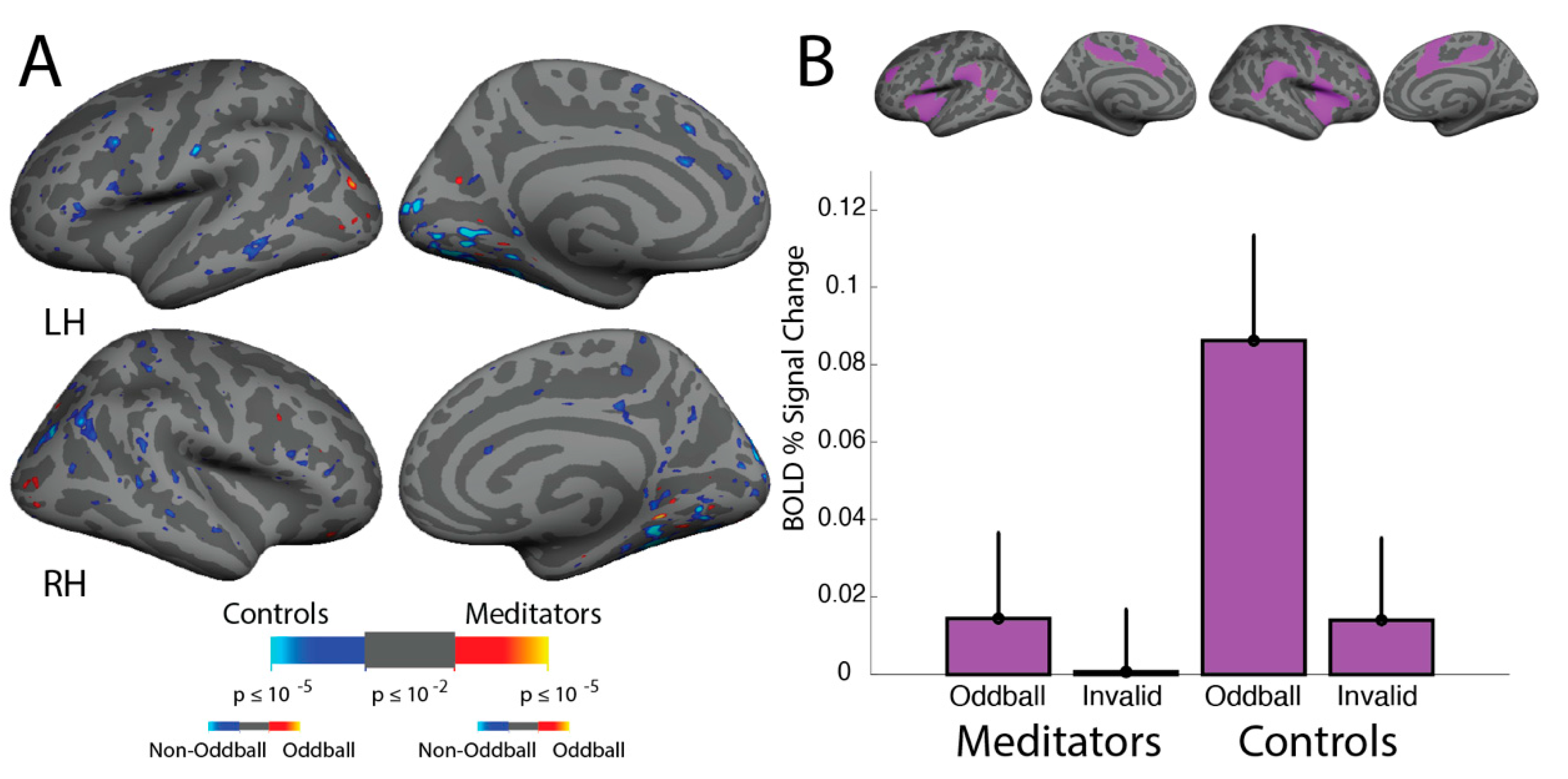 Brainsci 11 00566 g007